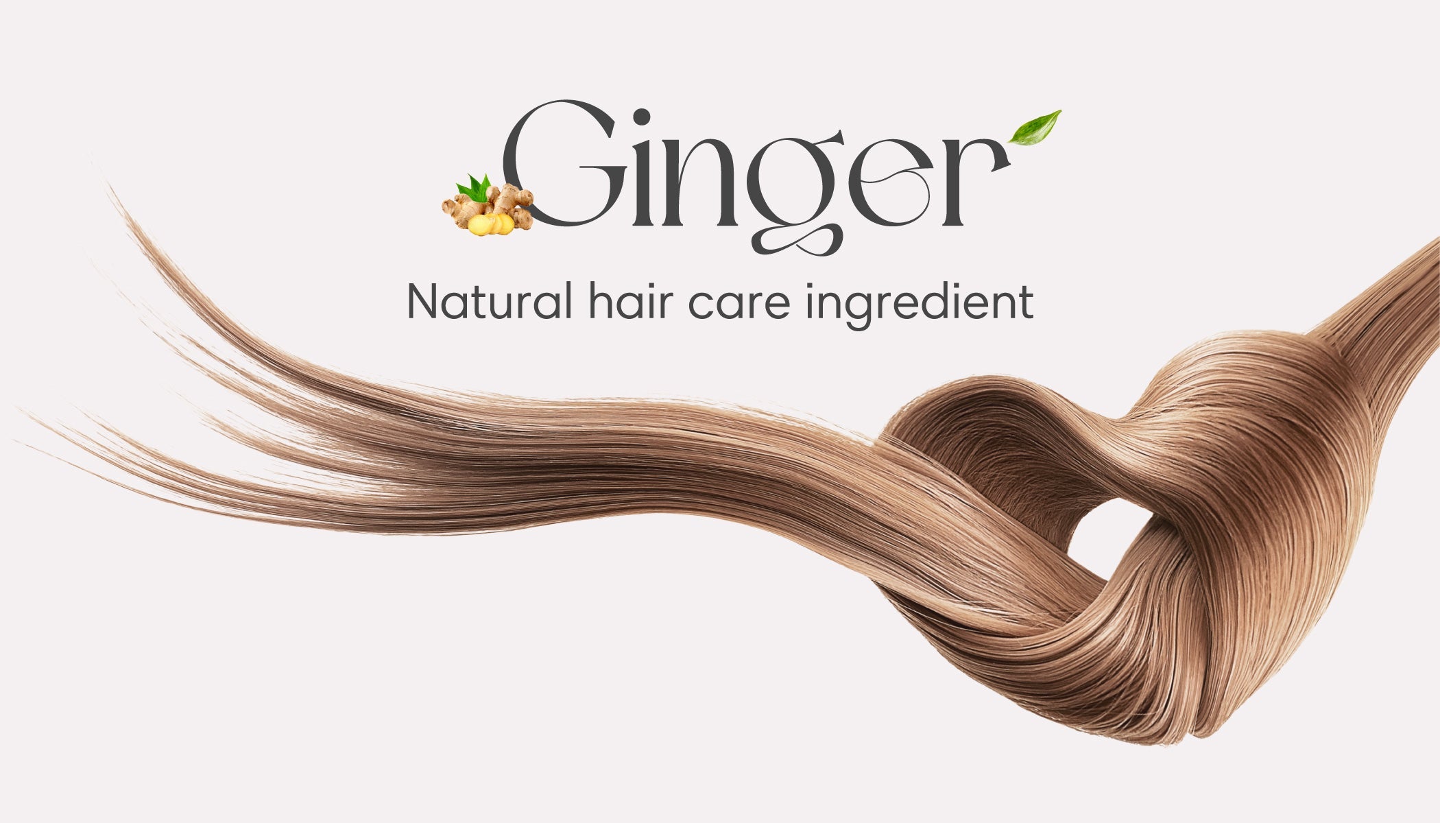 Promote Hair Growth Naturally With Ginger Benefits For Hair
