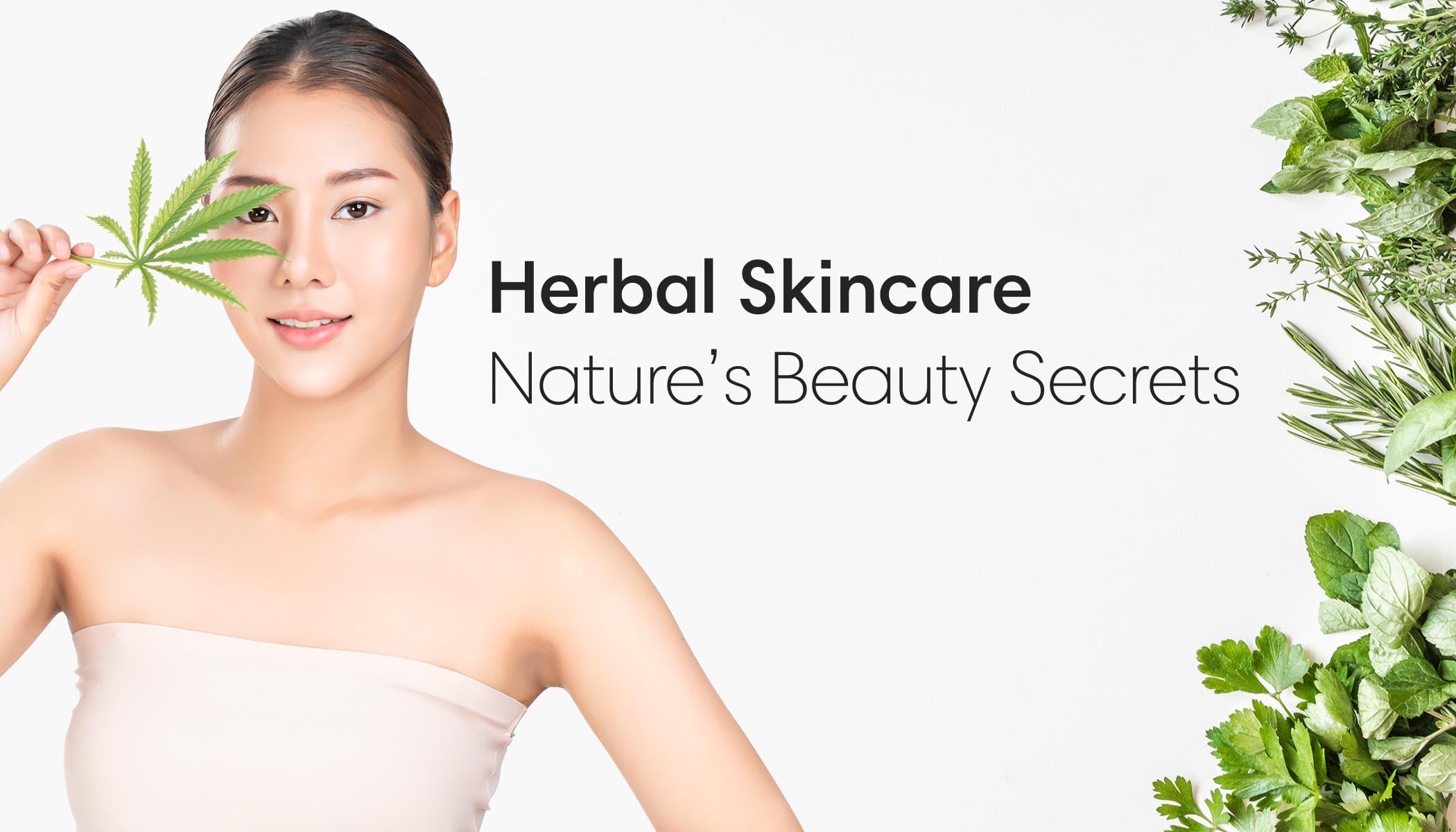 Best Herbs for Clear Skin: Say Goodbye to Blemishes