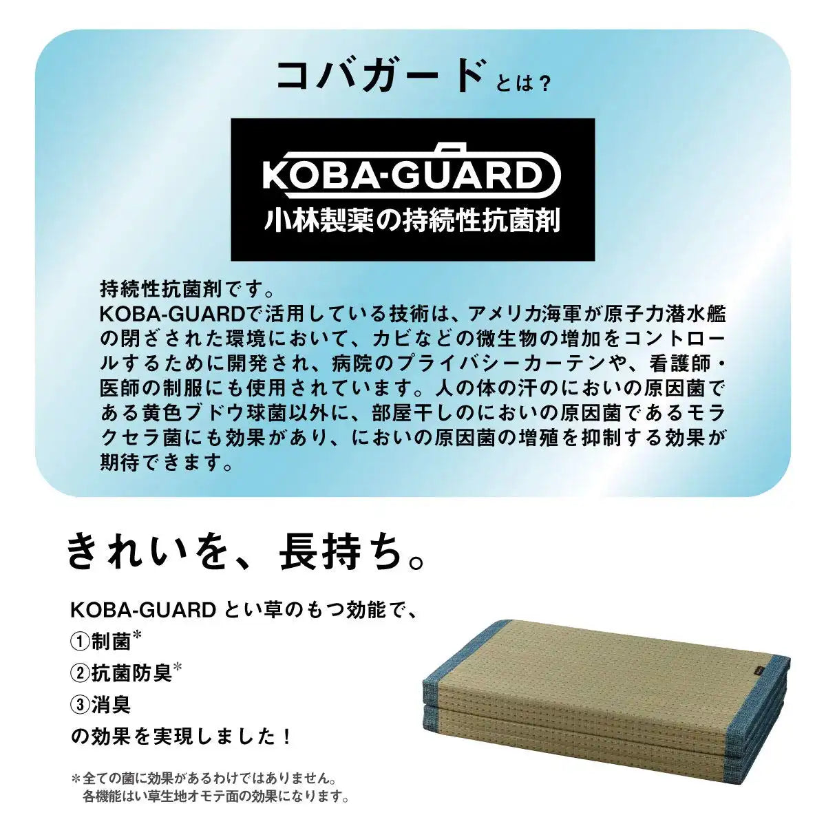Ikehiko Rush Clear Mat 80X180Cm Antibacterial Deodorizing Japan #7559379