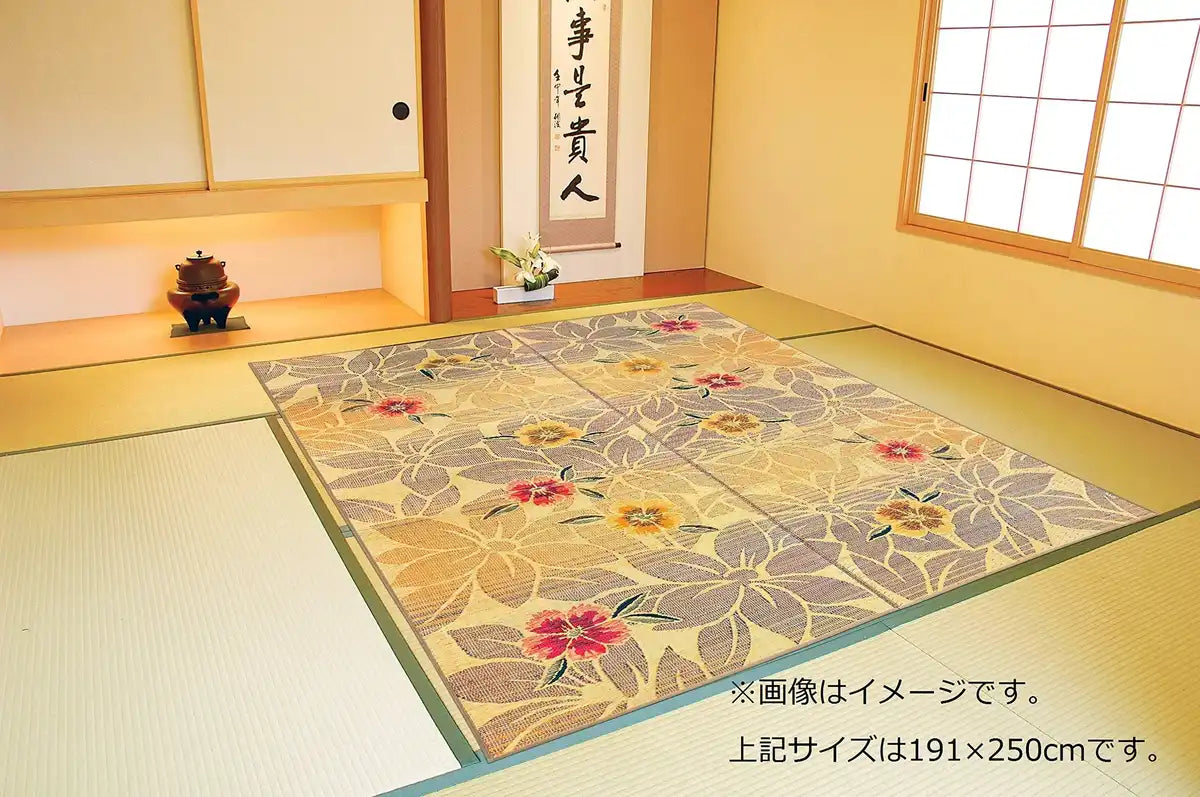 Ikehiko Corporation Japan Beige Rug 140X200Cm