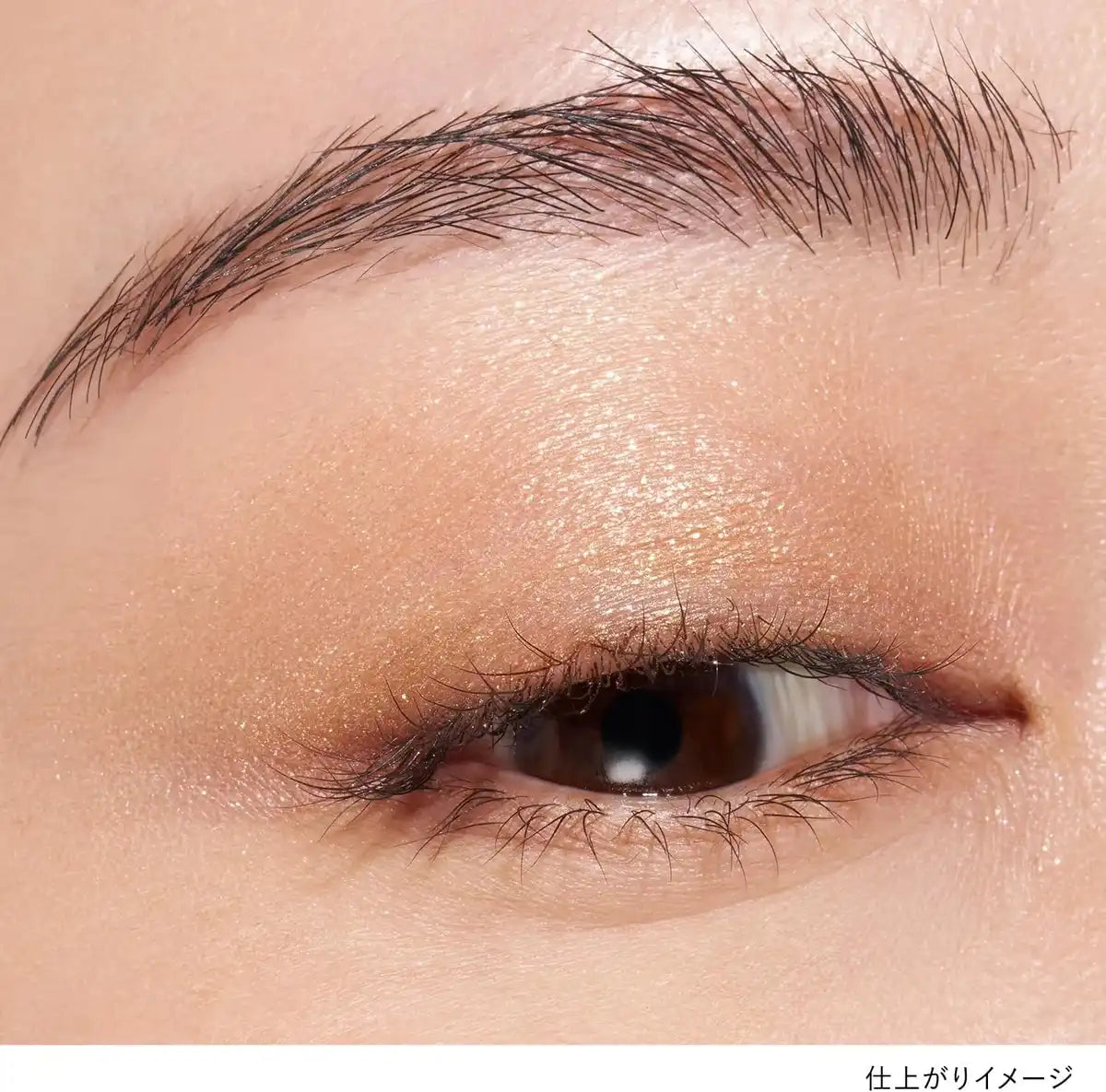 Lunasol Mono Eyeshadow EX14 Orange Brown Topaz Reflet Shade