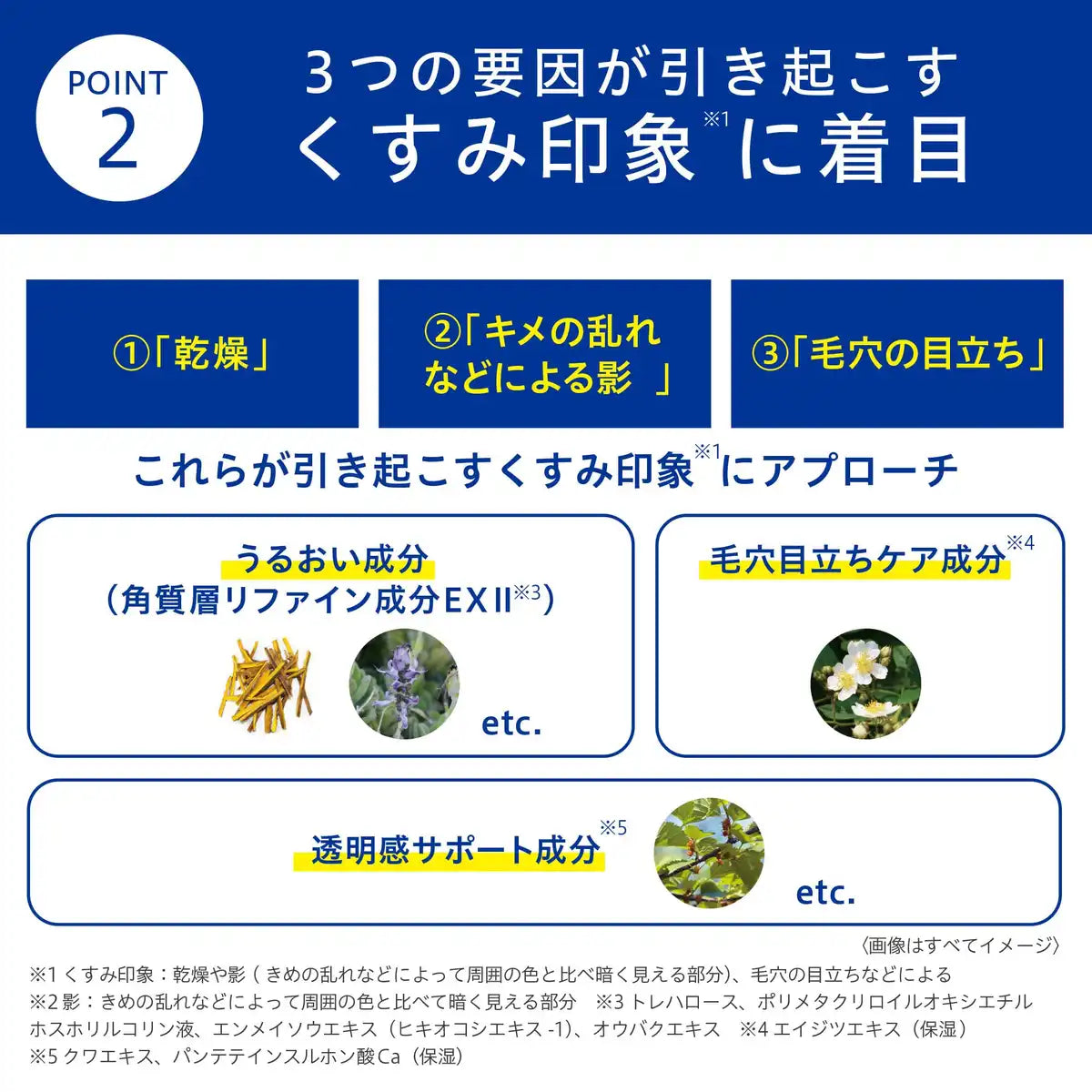 Transino Medicated Brightening Milky Lotion 100ml with Sample and Active Ingredients