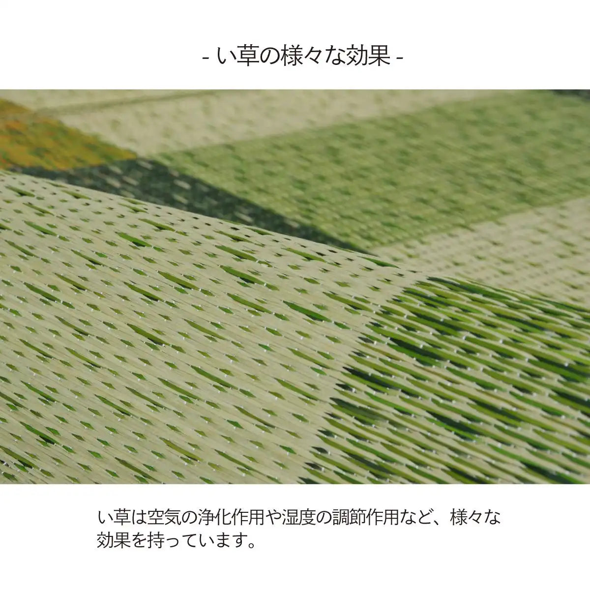 Ikehiko Corporation Japan Rush Rug Deodorant Carpet Rectangular Green - Approx.