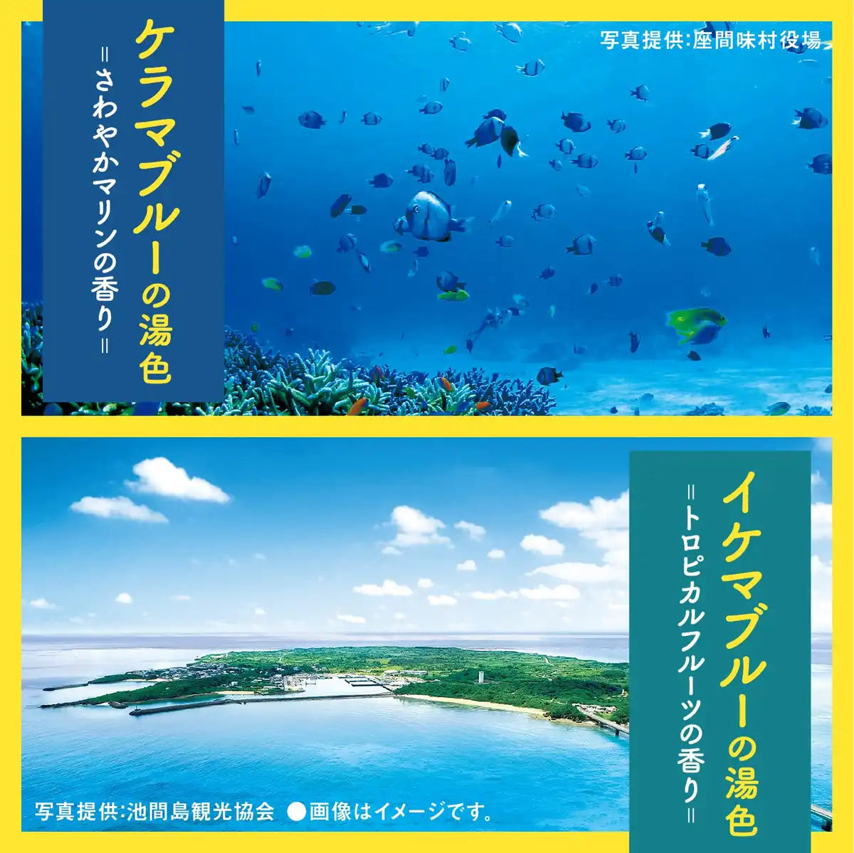 Bus Romance Travel Okinawa Medicinal Bath Additives - 4 Scents 12 Packets