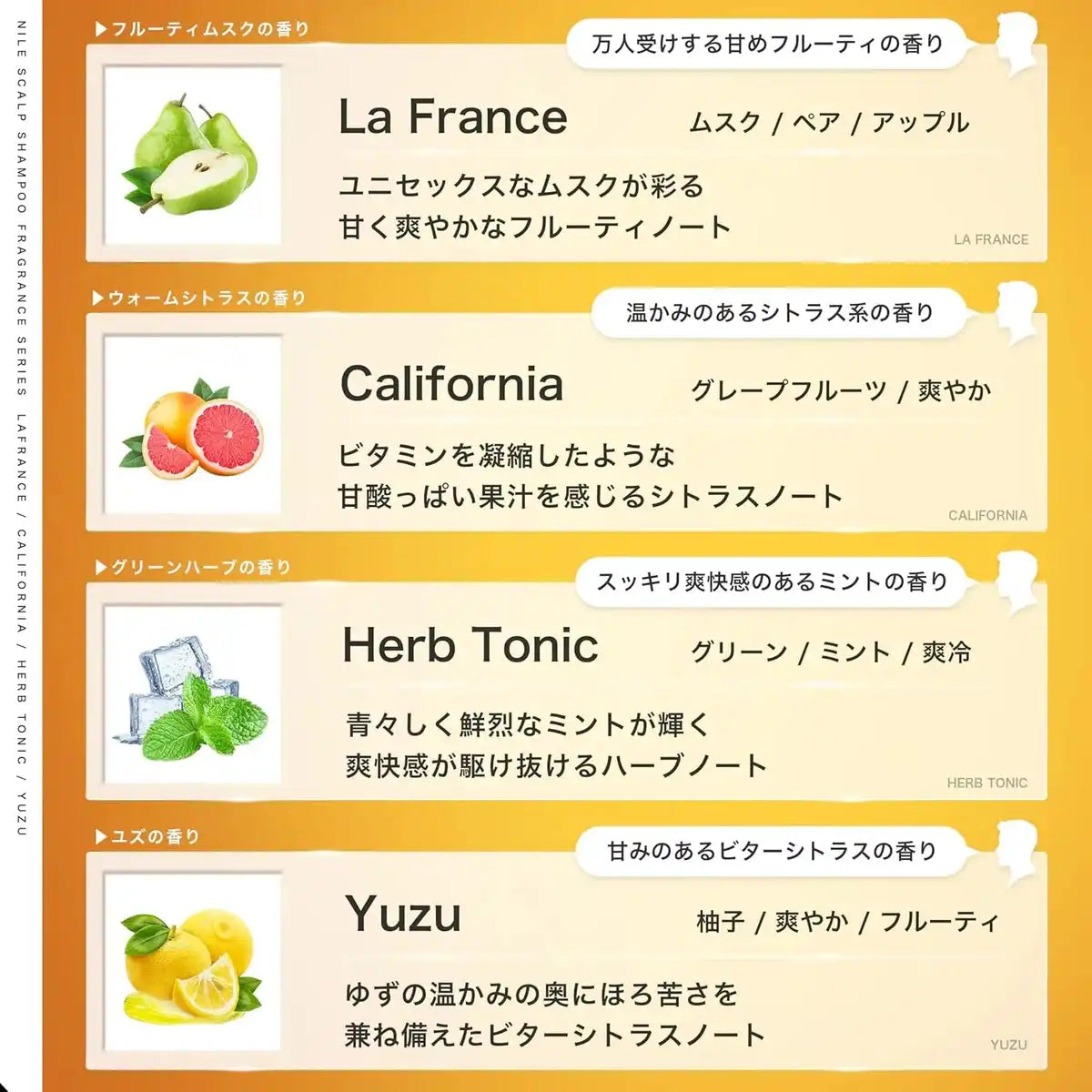 Nile Dense Foam Scalp Amino Acid Non-Silicone Shampoo Yuzu Scent