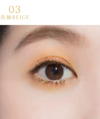 Fujiko Mini Airy Dip Powder 03 Sophisticated Beige 0.8g - Japanese Dip Powder