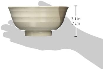 Endo Shoji Japan Gray Stone Udon Bowl Melamine Il-757 Rgl43