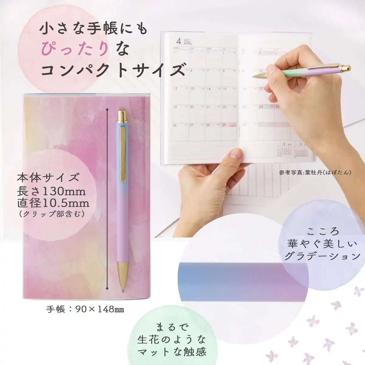 Sailor Fountain Pen Oil-Based 0.7mm Ballpoint Rosemary Flower Color 17-2402-240