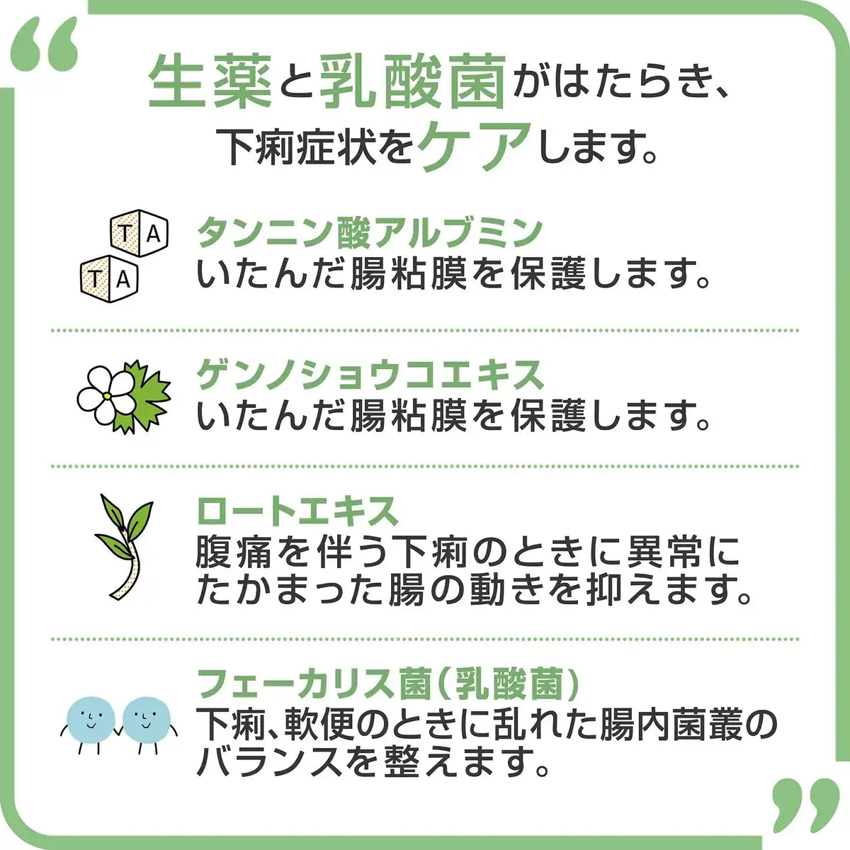 Biofermin Japan Antidiarrheal 2 Drugs 6 Packs