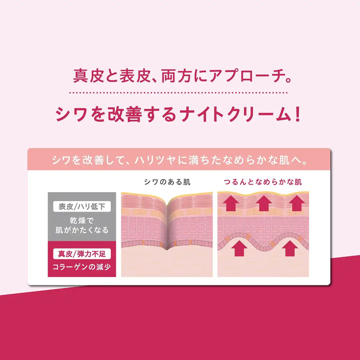 Lecheri Wrinkle Repair Night Cream Refill 40G