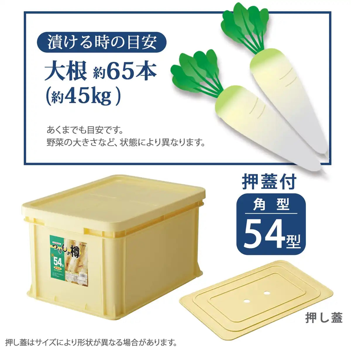 Squirrel Japan Tsukemono Barrel Angle 54 Type 171737 Ivory