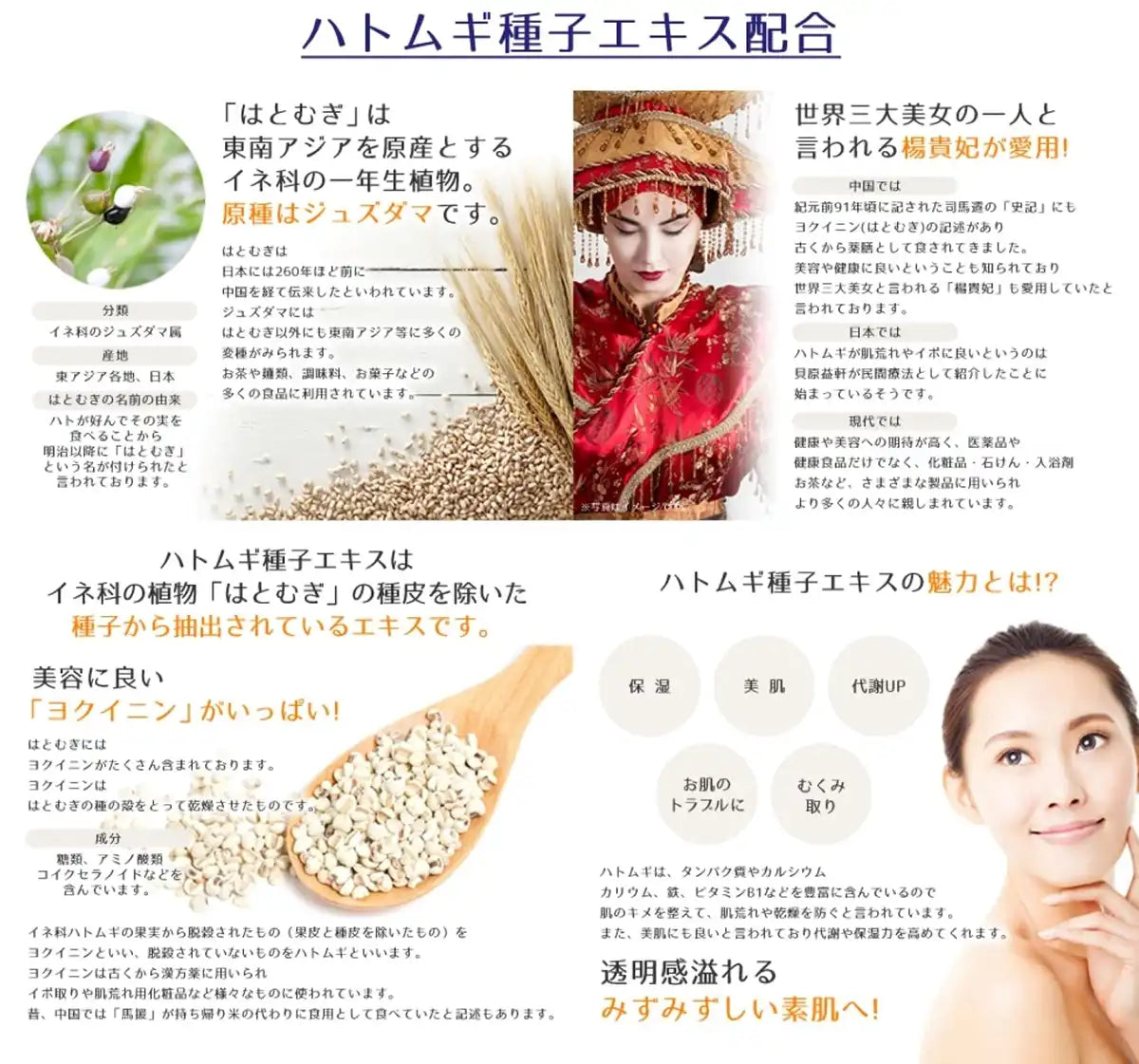 Beautiful White Reihaku Job's Tears Foam Body Soap Refill 450ml