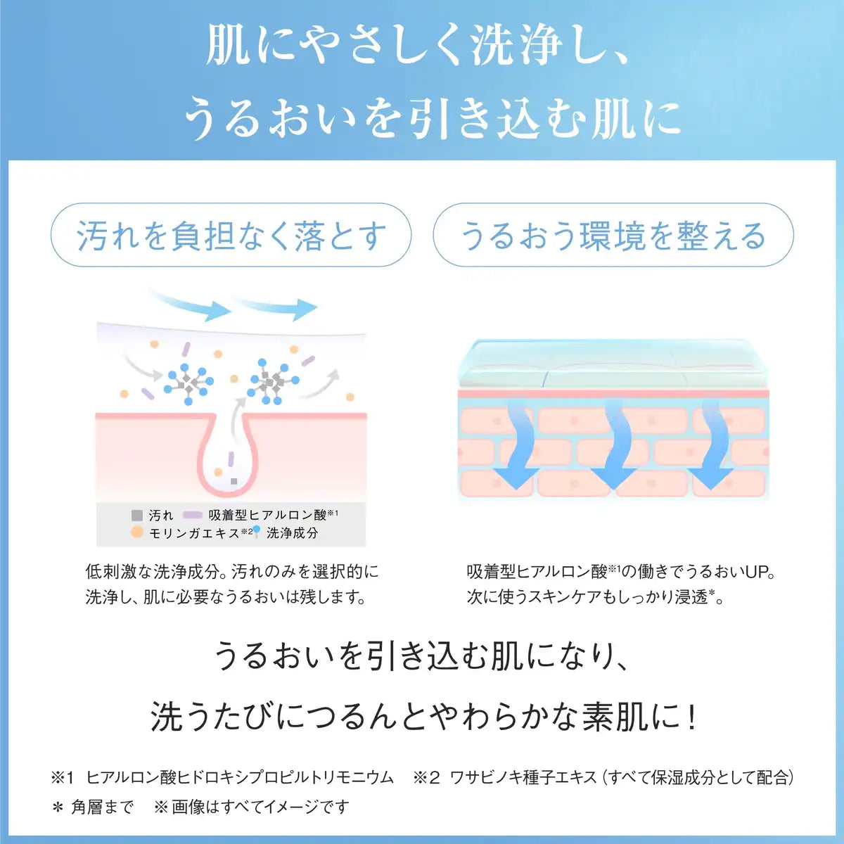 Ayura Foaming Facial Cleanser 120g Gentle Face Wash Foam