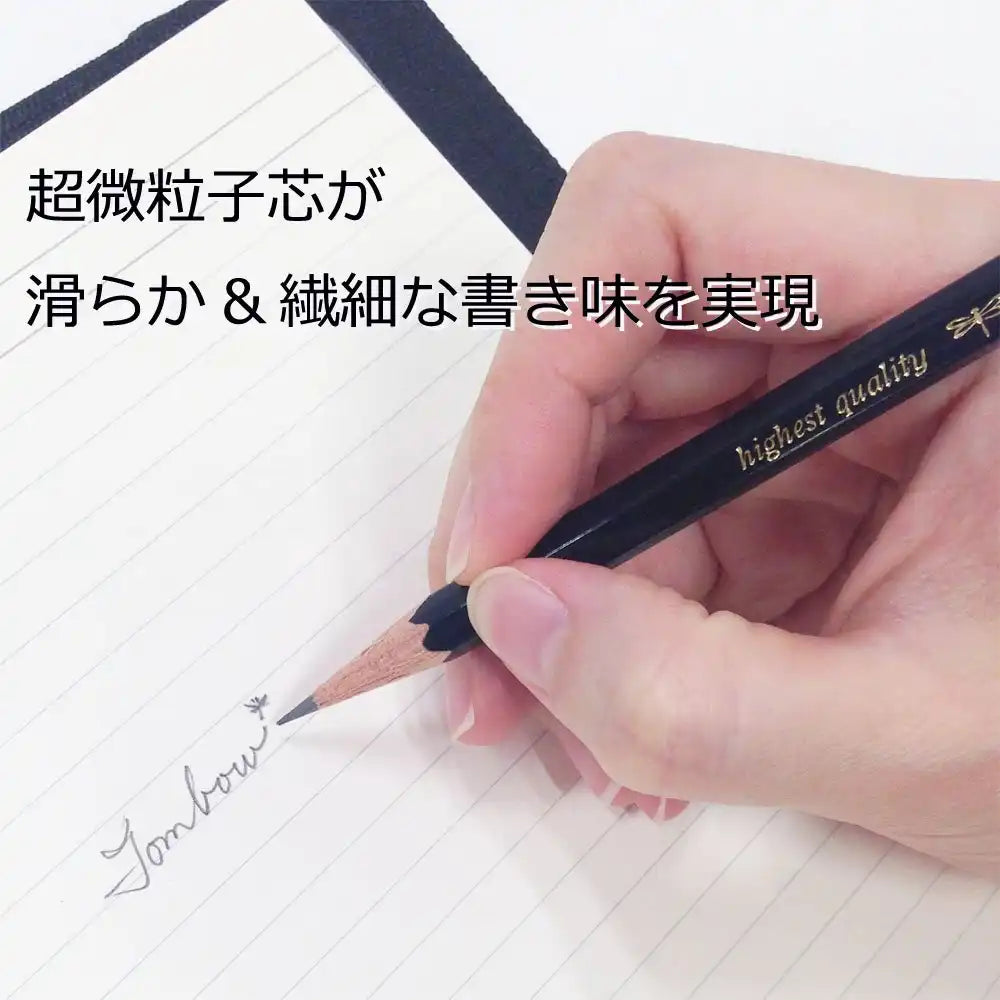 Tombow Pencil Mono 100B Japan - Dozen Pack - Mono-100B