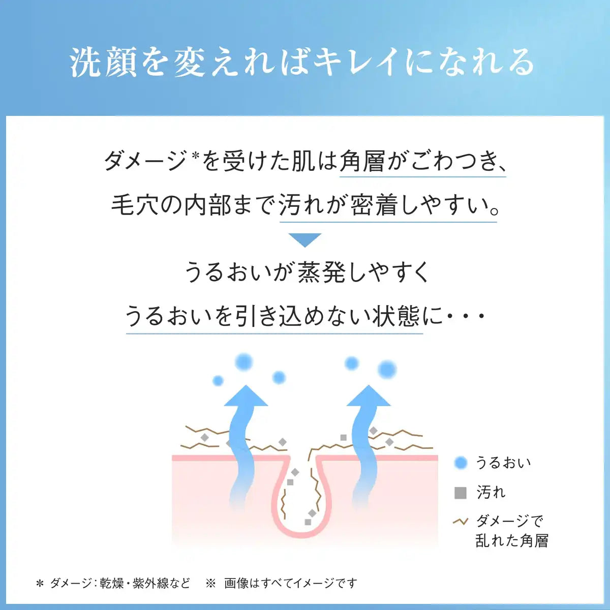 Ayura Foaming Facial Cleanser 120g Gentle Face Wash Foam