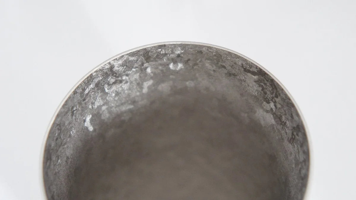 Horie Japan Niigata Tsubame Titanium Double Tumbler Kiln Creation Light 270Cc Silver T09Kms270