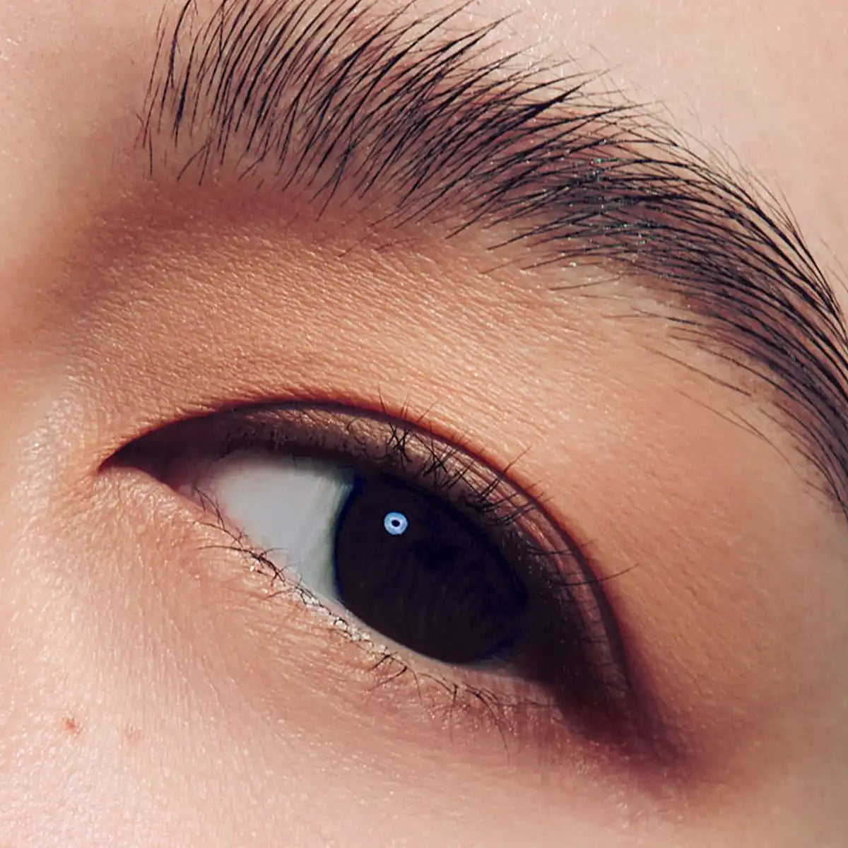 Hince New Depth Eyeshadow Midsommar Shade Long-lasting Pigment
