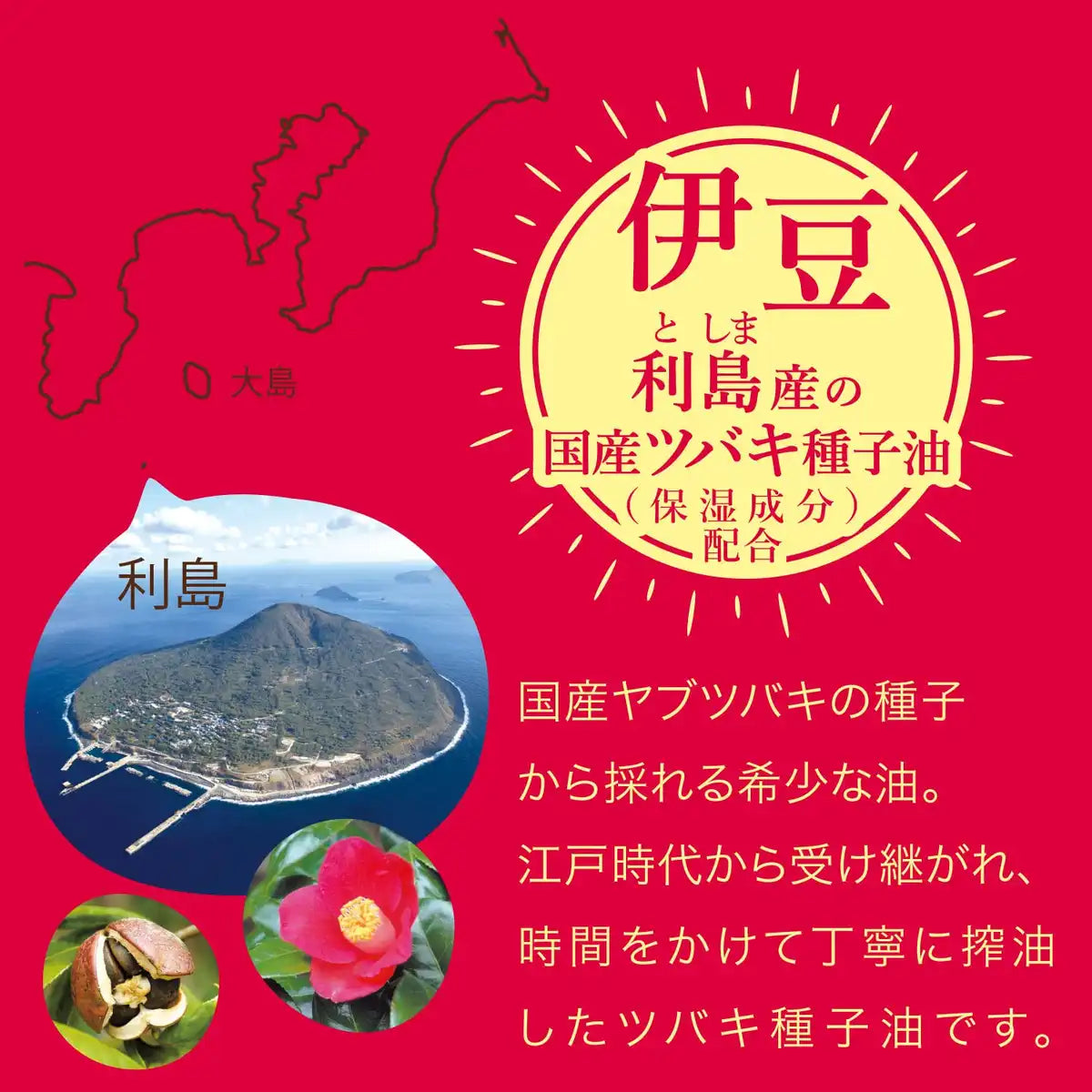 Camellia Motojima Pure Honjima Tsubaki Oil Large 118Ml Red Box