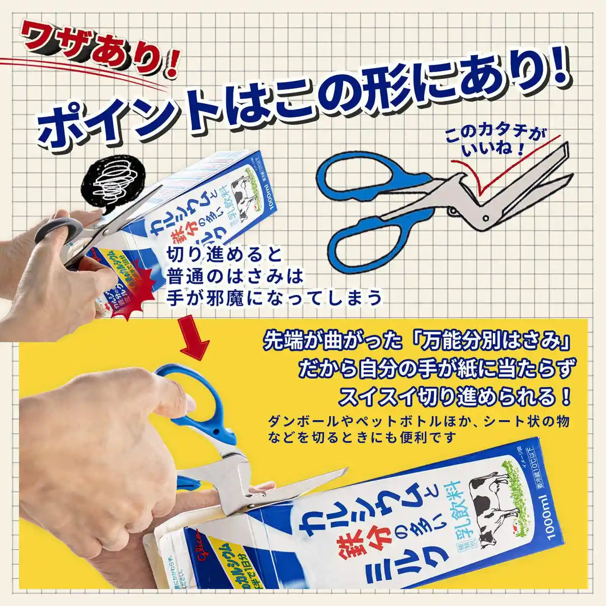 Sun-Star Stationery Universal Sorting Scissors S3716317 From Japan