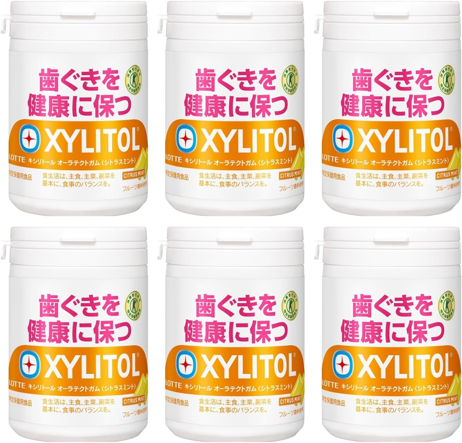 Lotte Xylitol Gum Fresh Mint Chewing Gum