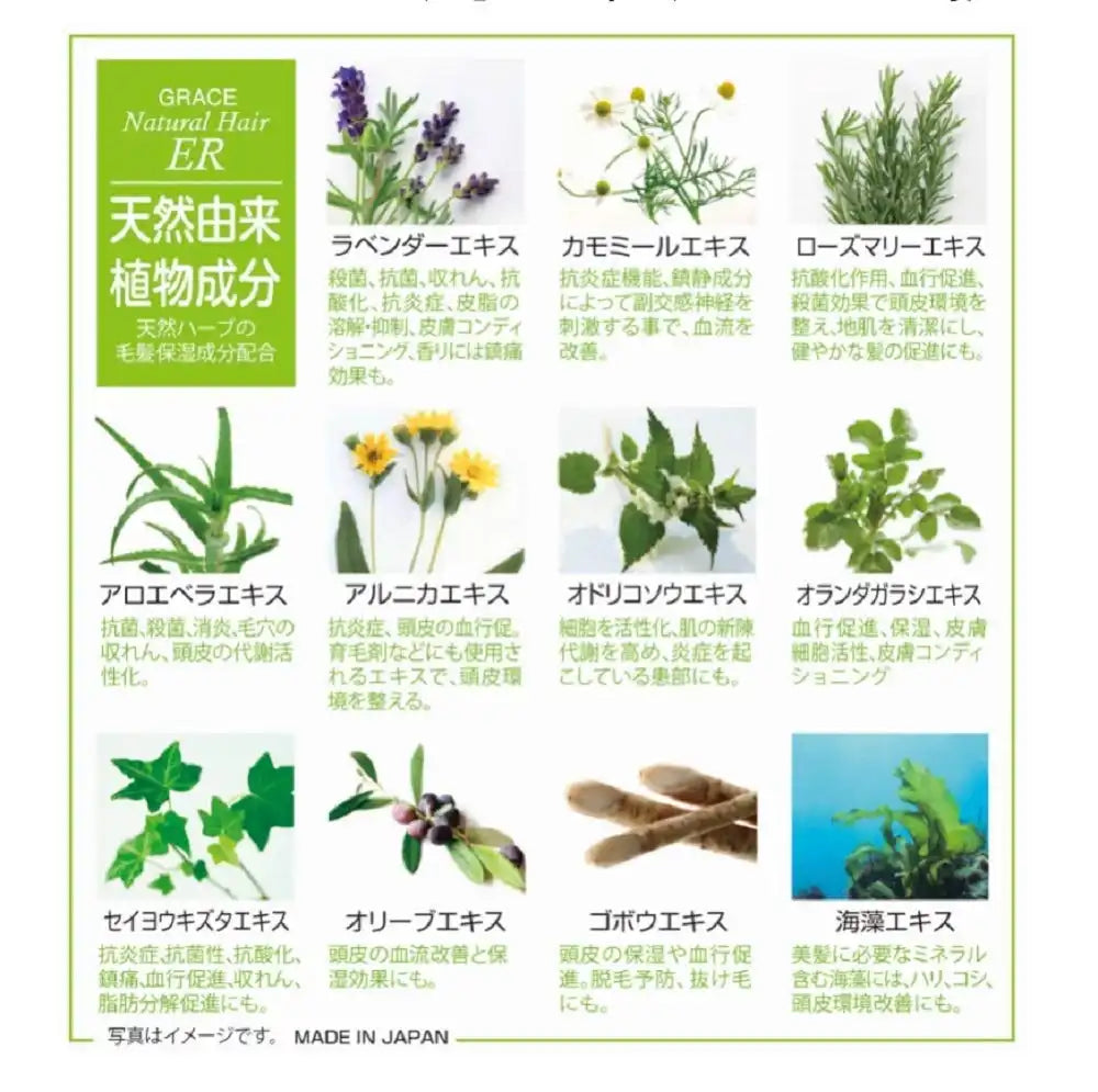 Grace Japan Natural Er Treatment Moist 310G