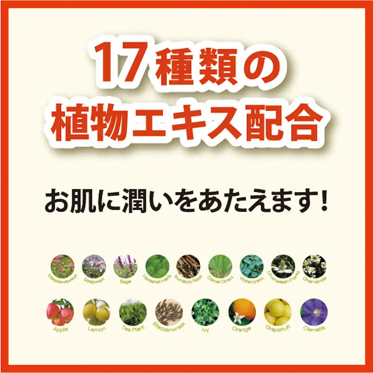 Baby Foot Easy Pack 60 Min. Type S Japan Foot Peel