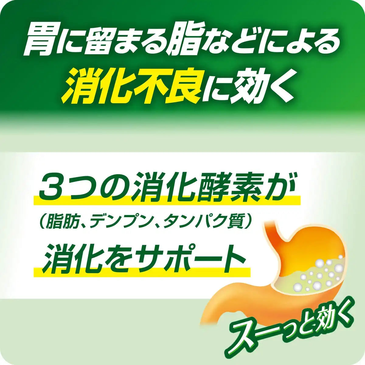 Taisho Gastrointestinal Medicine Balancer 12 Packs - 2 Drug Japan