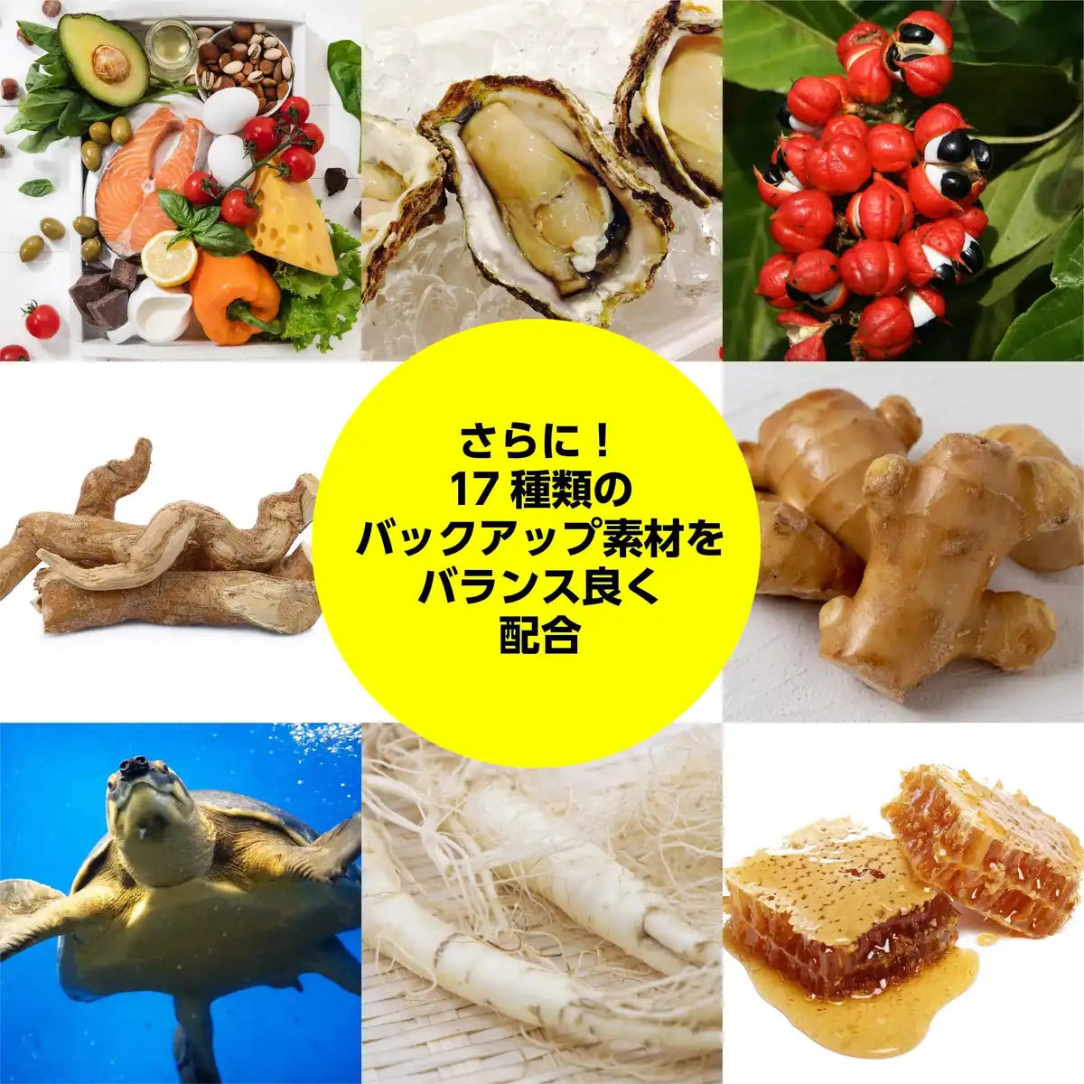 Itoh Kampo Pharmaceutical Maca 11000 Ultimate Gigamax Drink 50Ml (Japan)