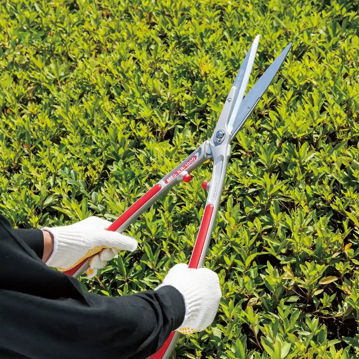 Ars Corporation KR-1000 Replaceable Blade Pruning Shears