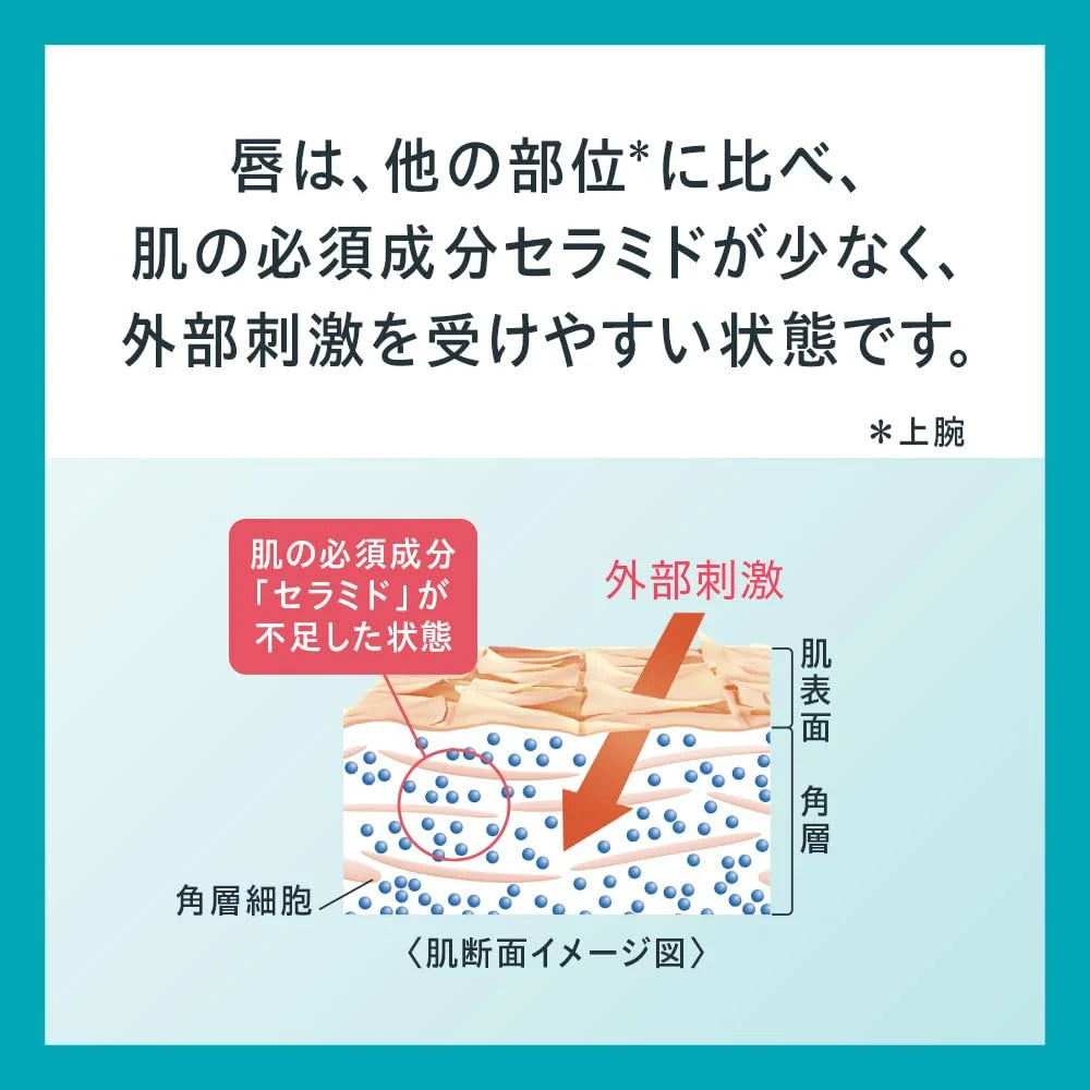 Curel Lip Care Cream Bordeaux - Moisturizing Beautiful Color Lip Treatment