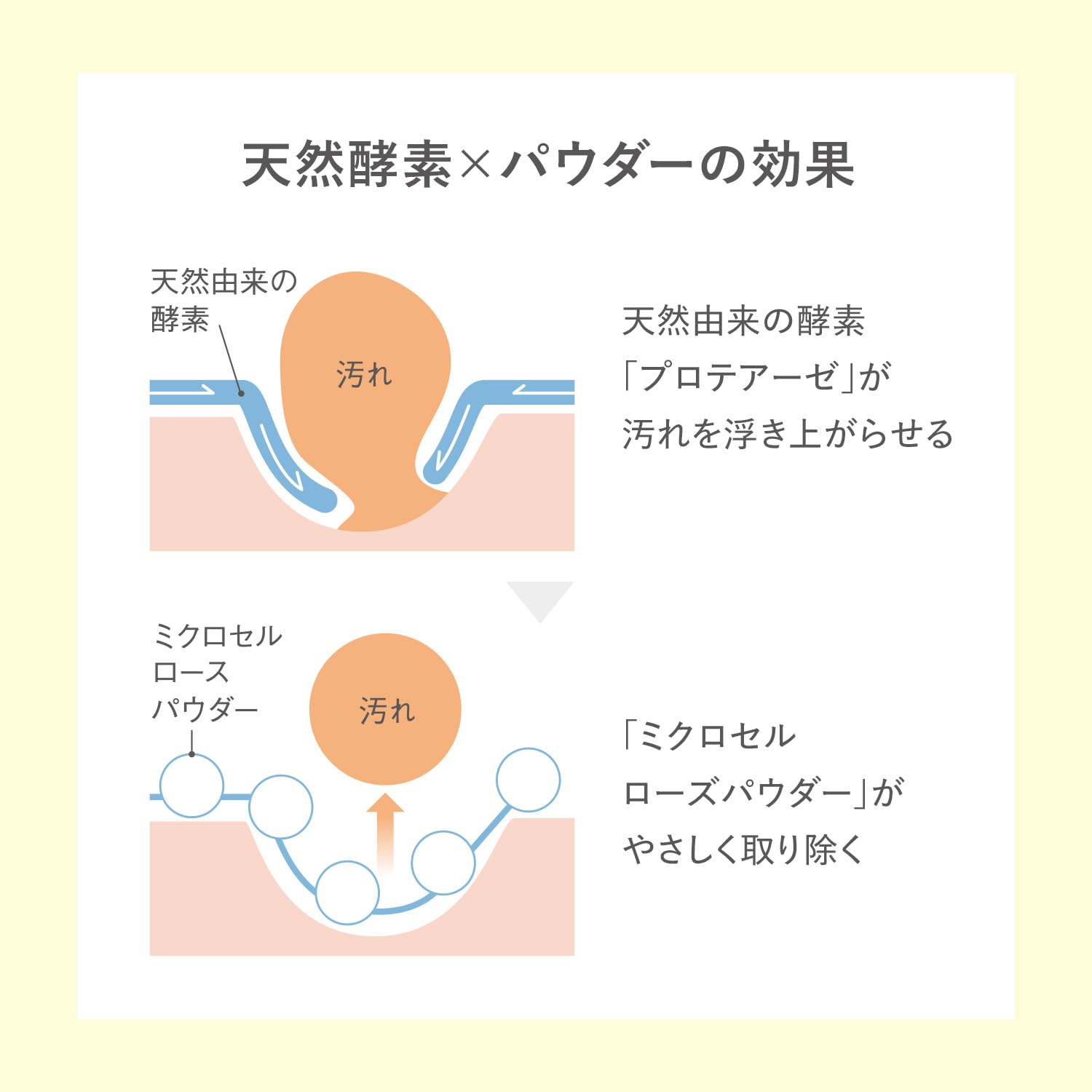 Acseine Hypnos Sebum Clear Powder Wash Facial Cleanser 80g