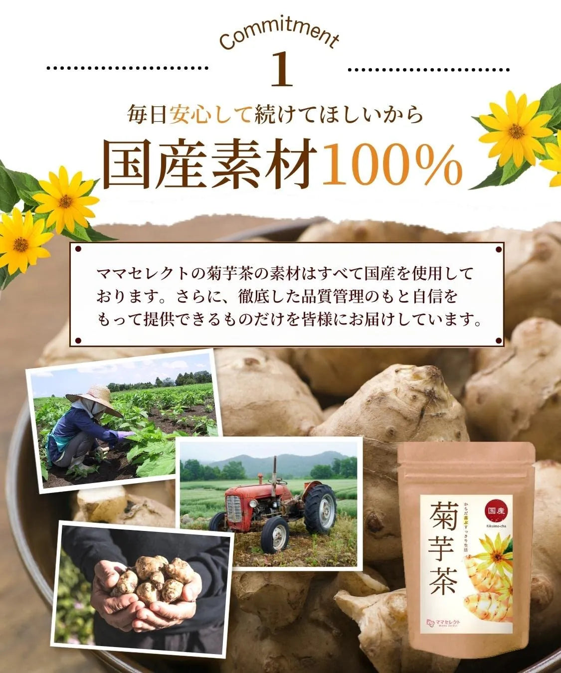 Honjien Tea Kikuimocha Tea Bag 2.5g x 30 Bags - Japanese Non-Caffeine Tea - Healthy Tea