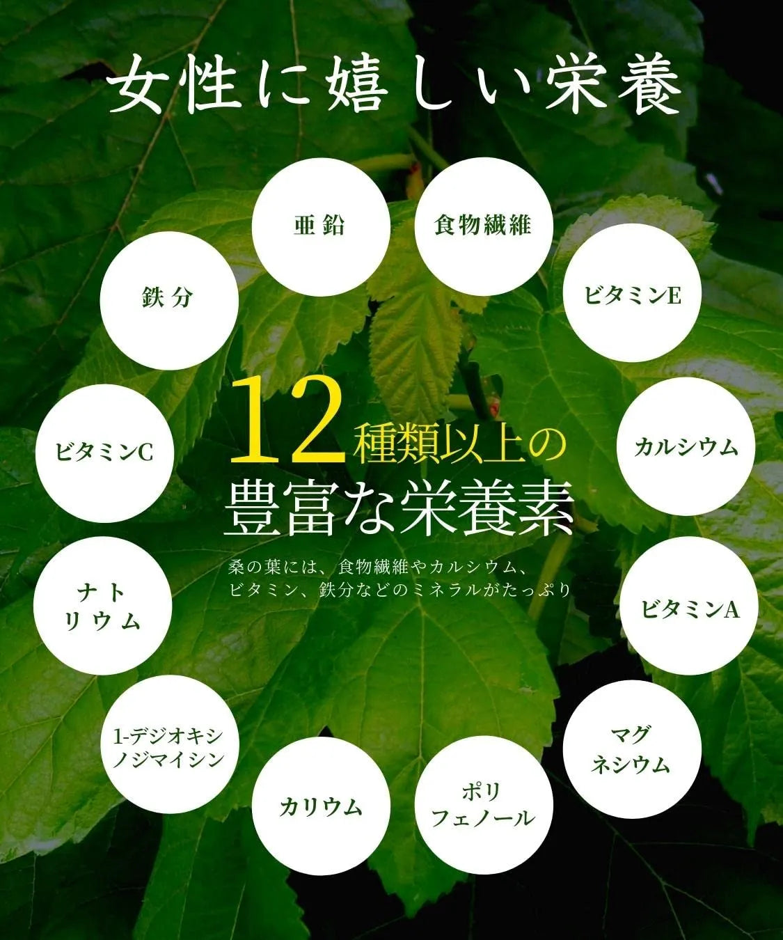 Honjien Tea Kuwanoha Tea Bag 3g x 30 Bags - Additive-Free Tea - Healthy Tea