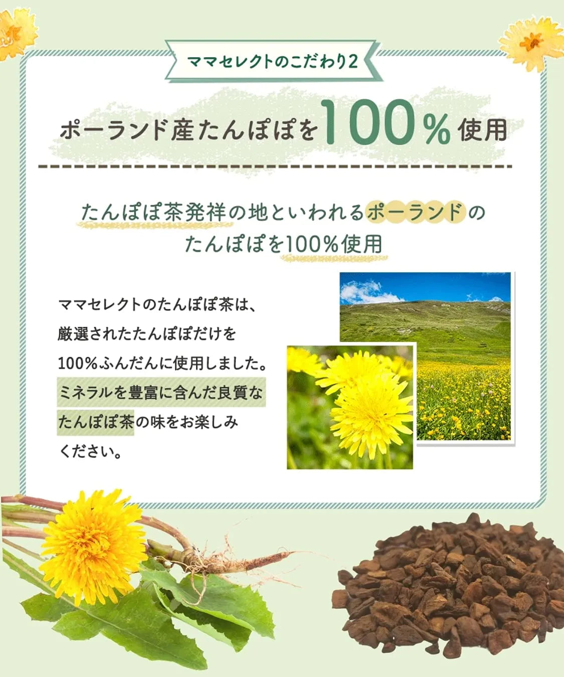 Honjien Tea Tanpopo Tea Bag 2g x 30 Bags - Breastfeeding Support Tea - Non-Caffeine Tea