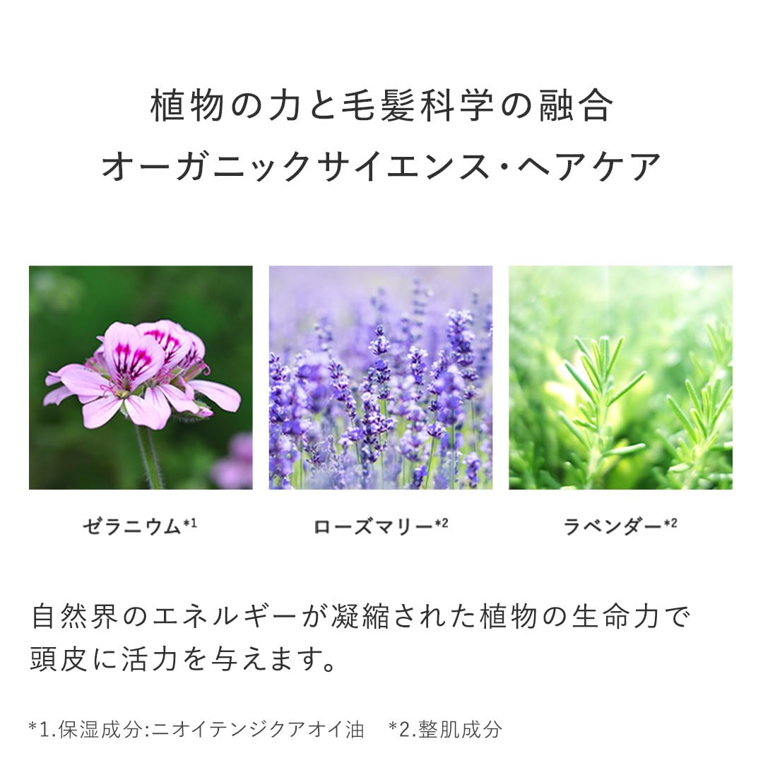 Ampleur Organic Shampoo Premium Phyto Hair Wash for Healthy Hair