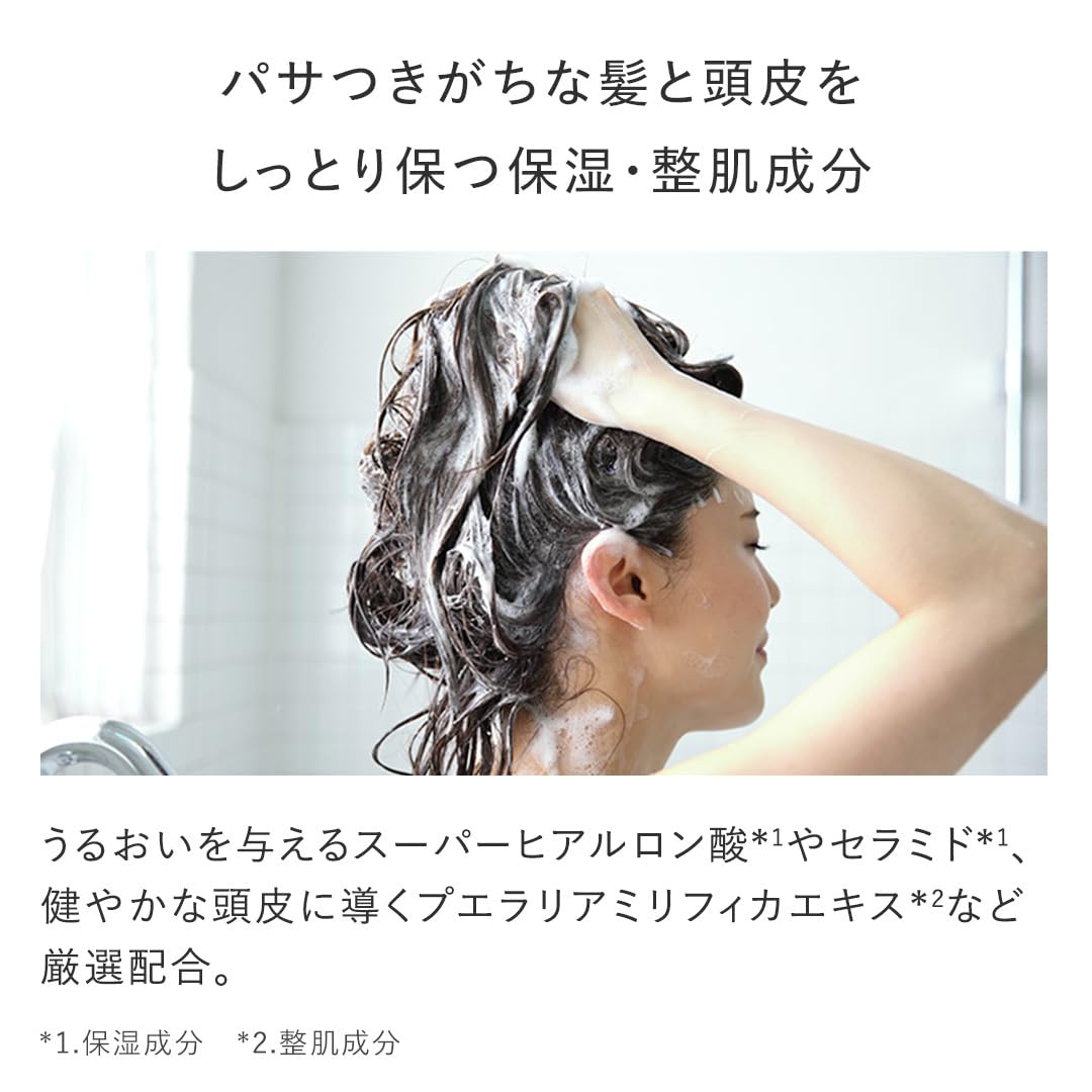 Ampleur Organic Shampoo Premium Phyto Hair Wash for Healthy Hair