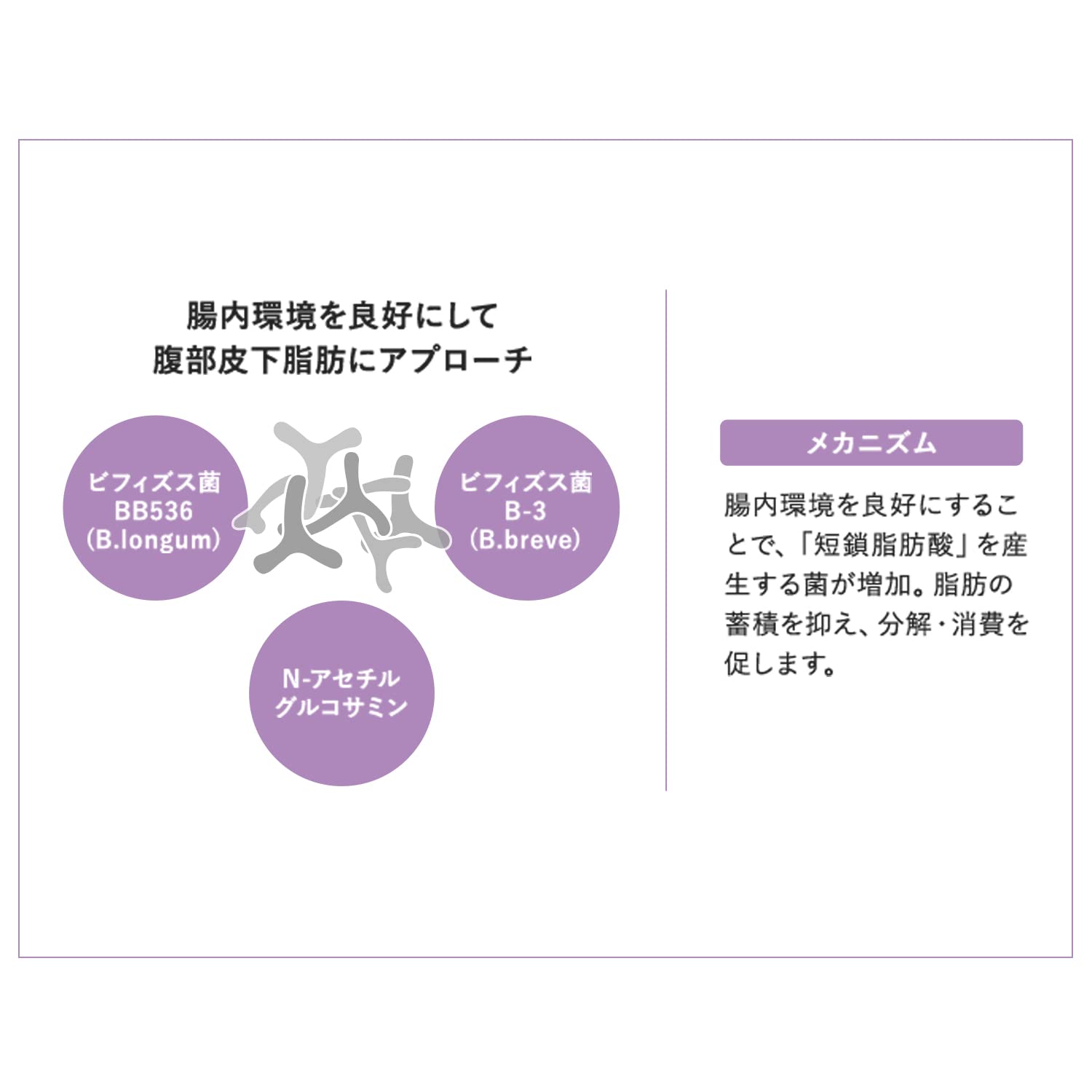 Attenir Inner Smart Supplement 90 Tablets for Weight and Body Fat Reduction