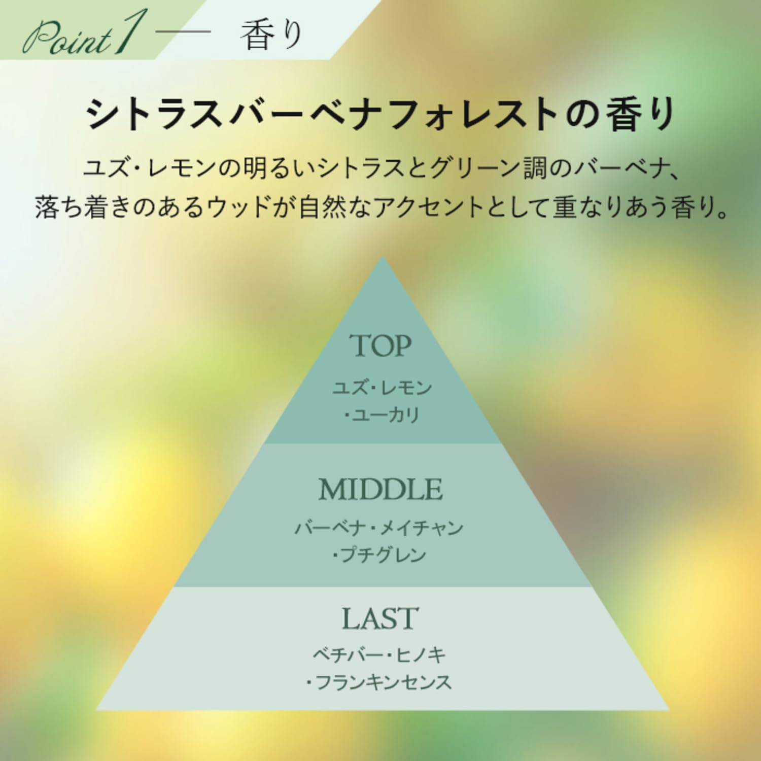 Attenir Citrus Verbena Body Soap 500ml Refreshing Forest Scent