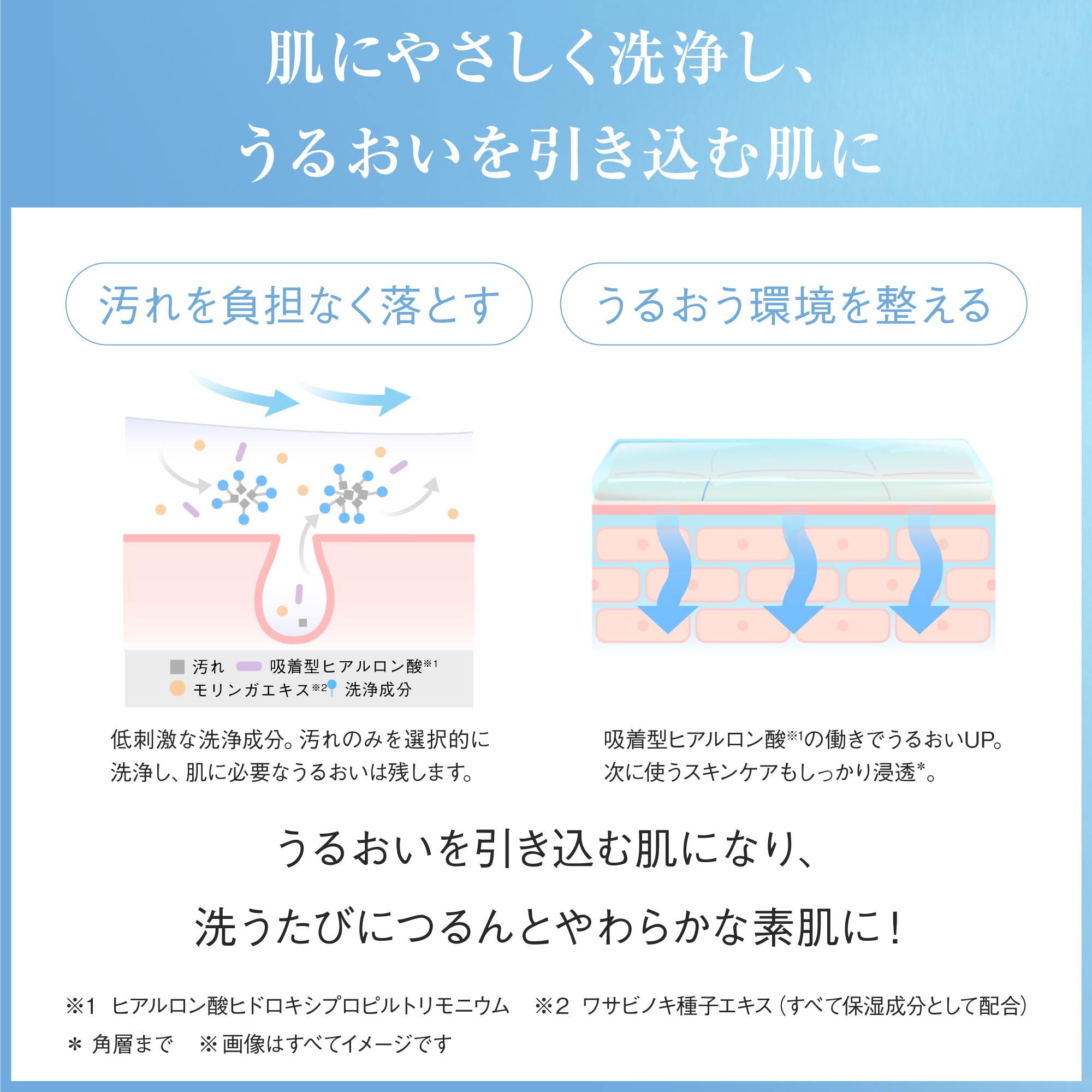 Ayura Foaming Facial Cleanser 120g Gentle Face Wash Foam