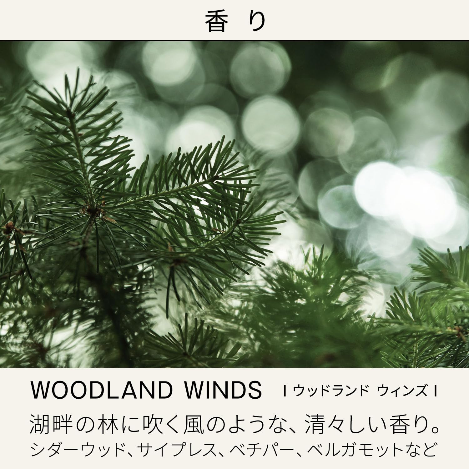 Baum Moisturizing Emulsion N Refill 100Ml with Hinoki Scent for Unisex Use