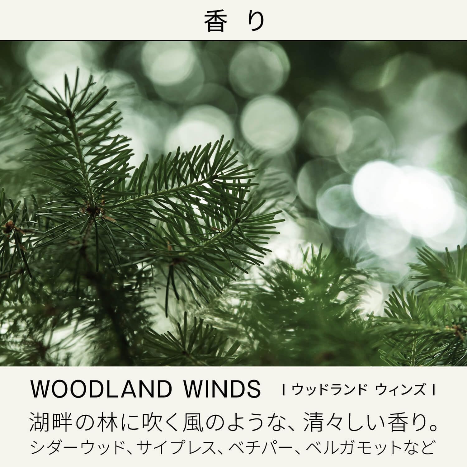 Baum 2024 Moisturizing Oil Forest Bathing 60ml Natural Hinoki Fragrance