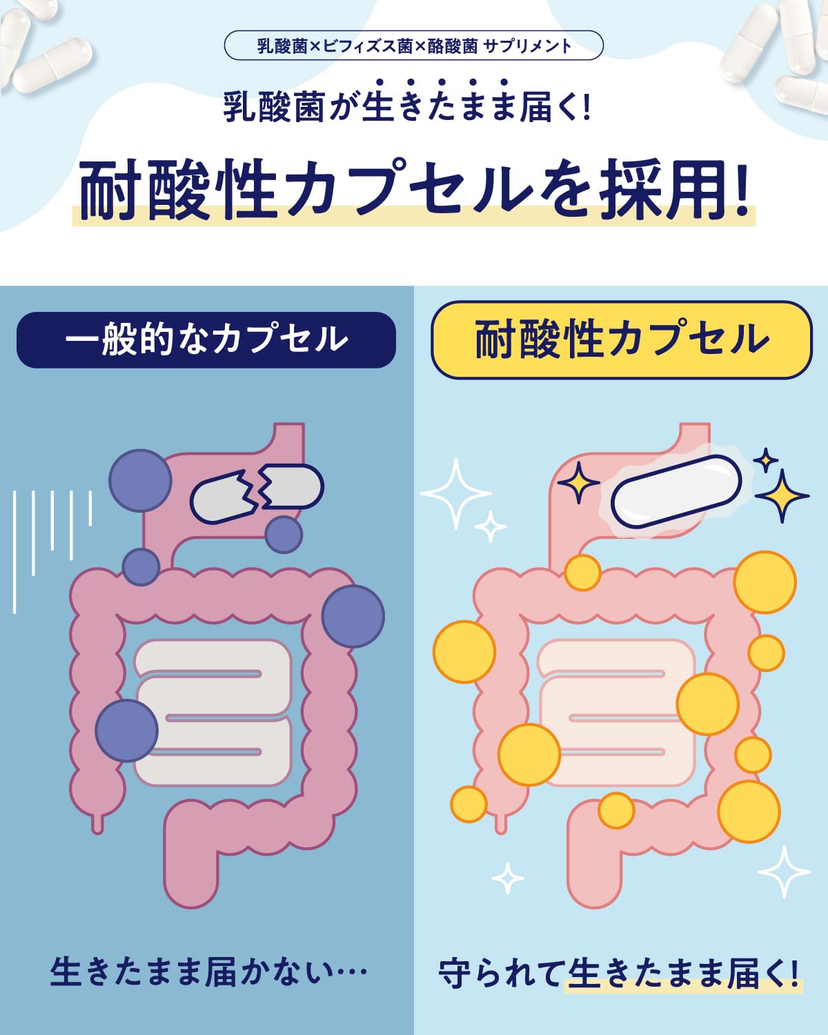 Asahi Group Foods Bifiral Probiotic: 4.5 Trillion CFU 30-Day Supply Made in Japan