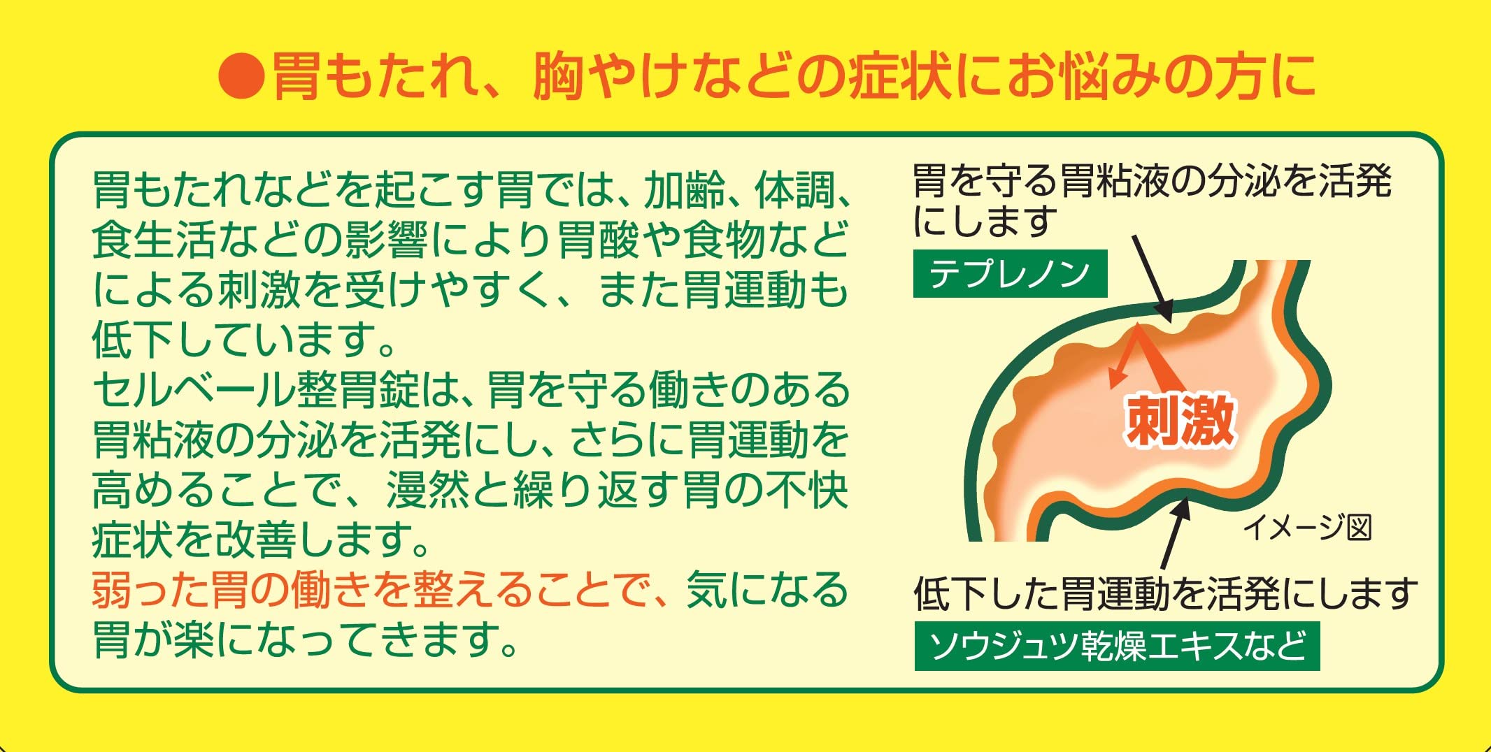 Cerbere Selbelle Stomach Regulating Tablets - 21 Tablets for Digestive Health