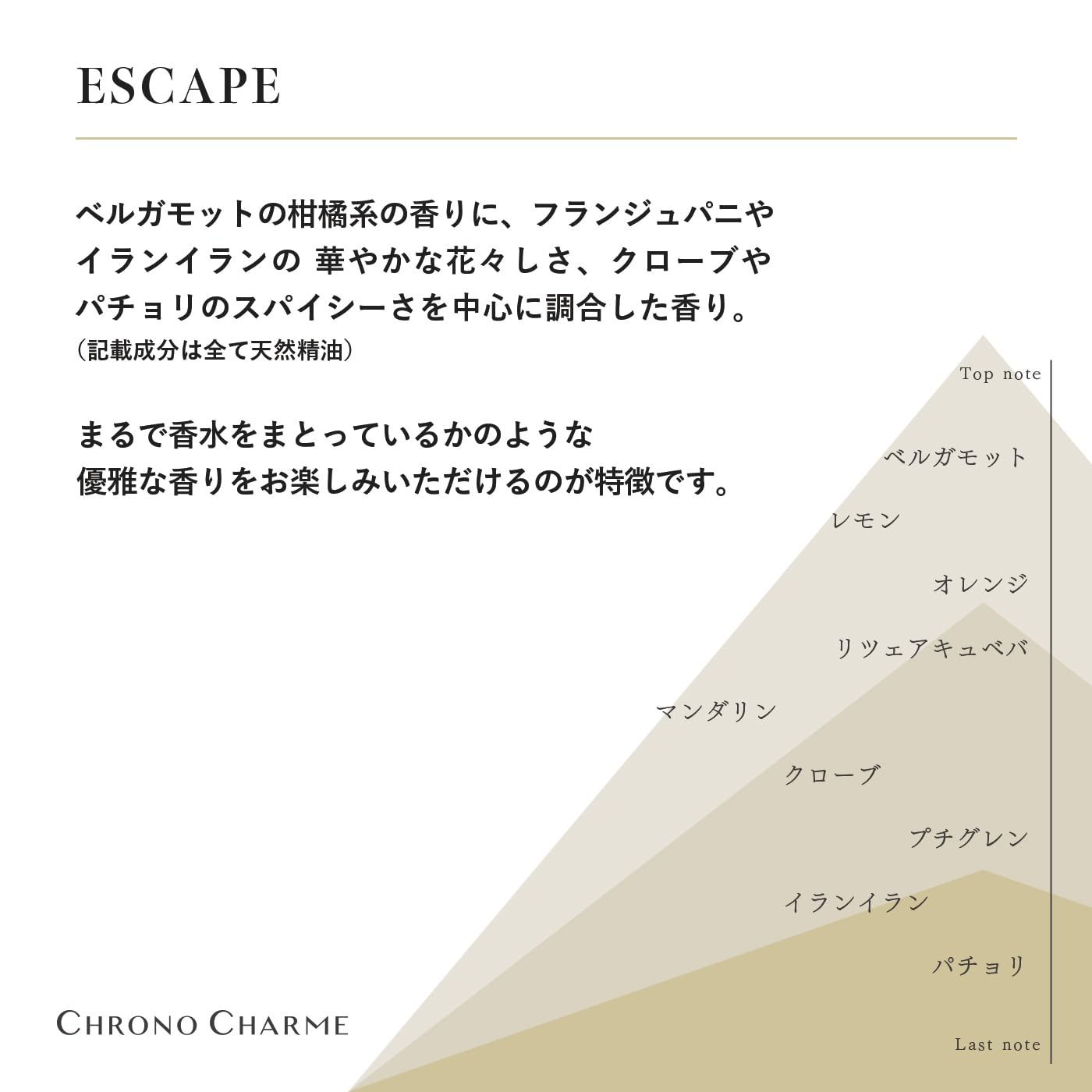 Chrono Charme Hand Wash 300ml | Premium Gentle Cleanser