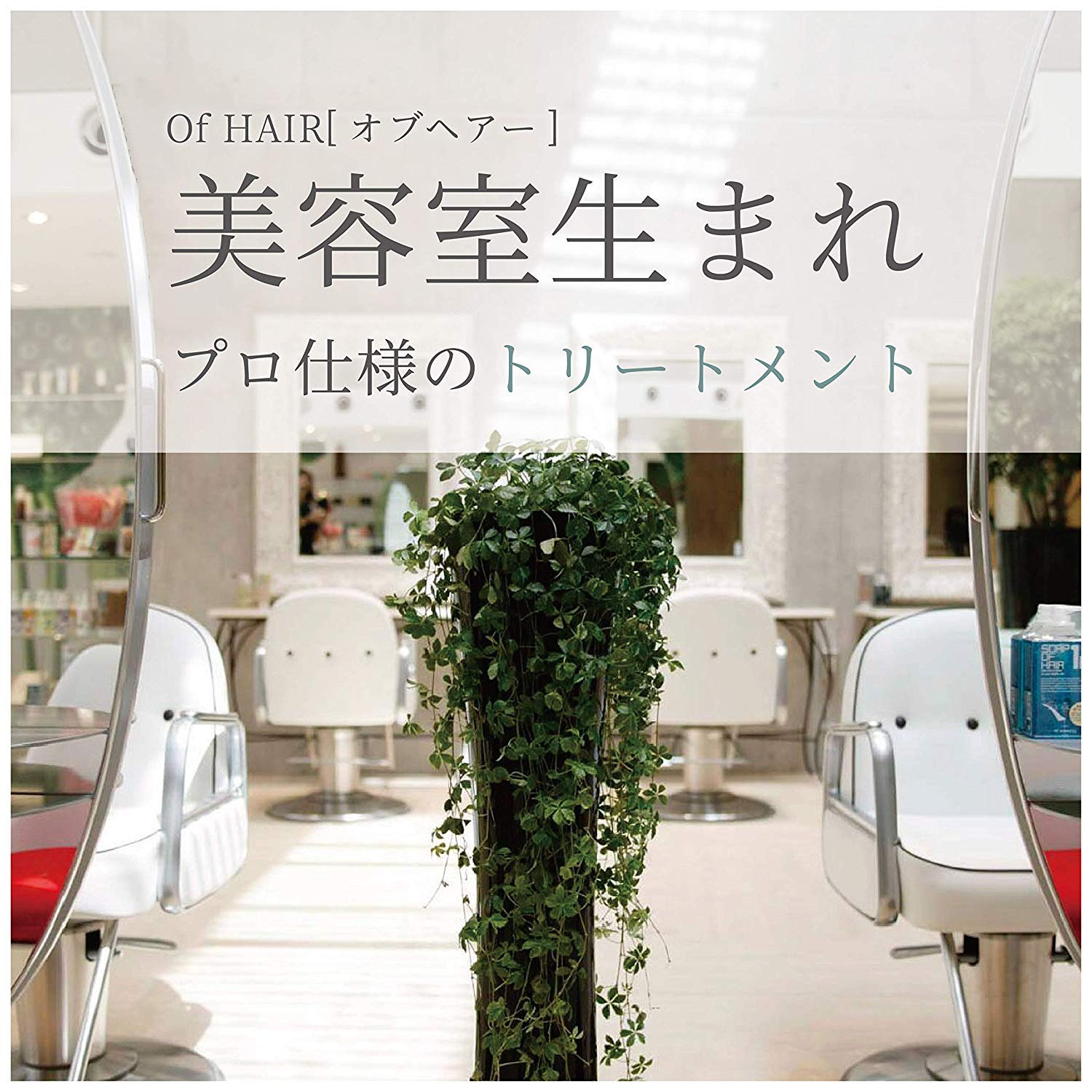 Of Cosmetics Treatment Hair 2-Ec 210g Peppermint Scalp Care for Soft Hair