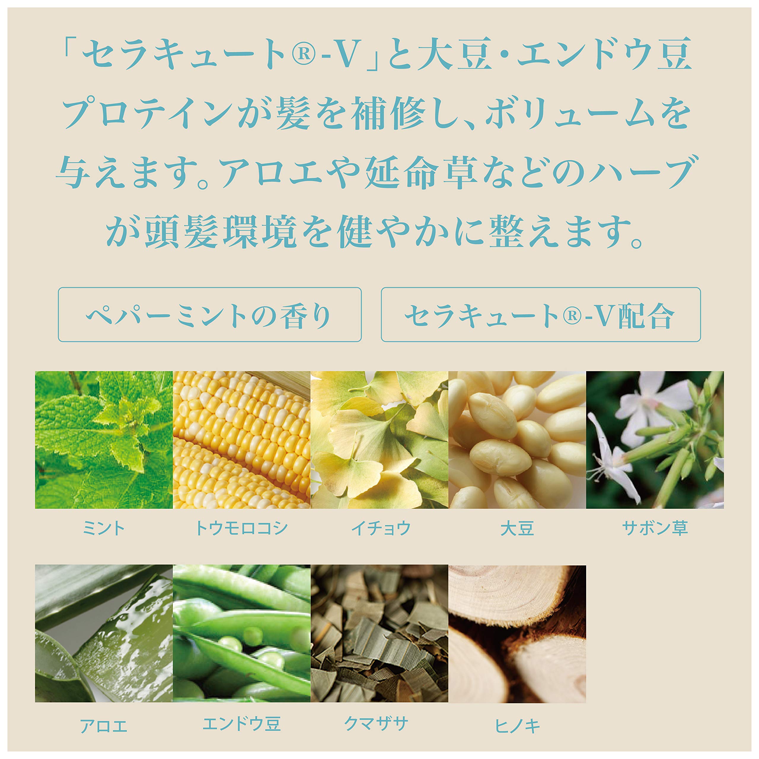 Of Cosmetics Treatment Hair 2-Ec 210g Peppermint Scalp Care for Soft Hair