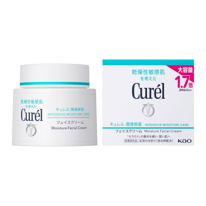 Curel Moisturizing Face Cream 70g Hydrating Skincare for Dry Skin