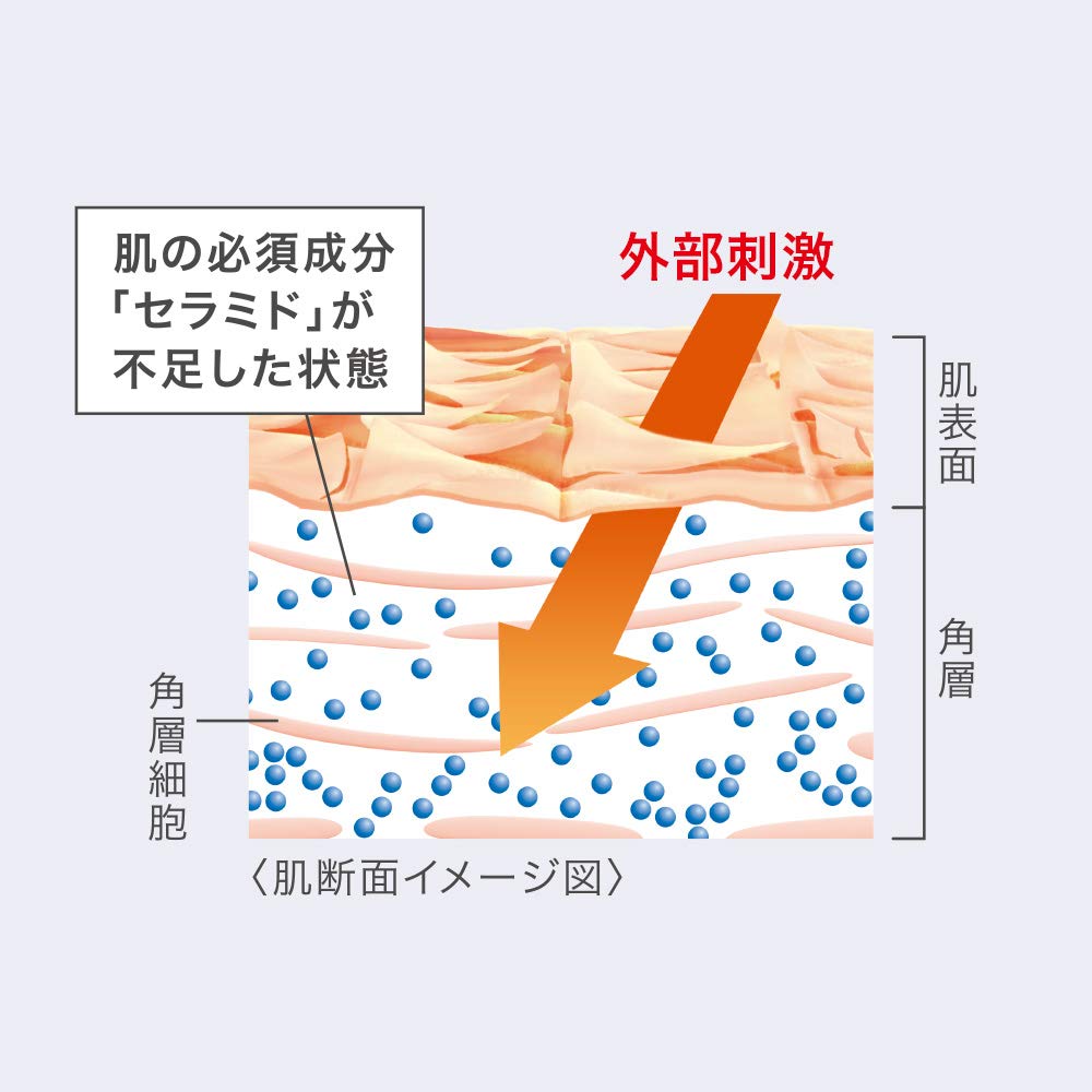 Curel Moisturizing Face Cream 70g Hydrating Skincare for Dry Skin