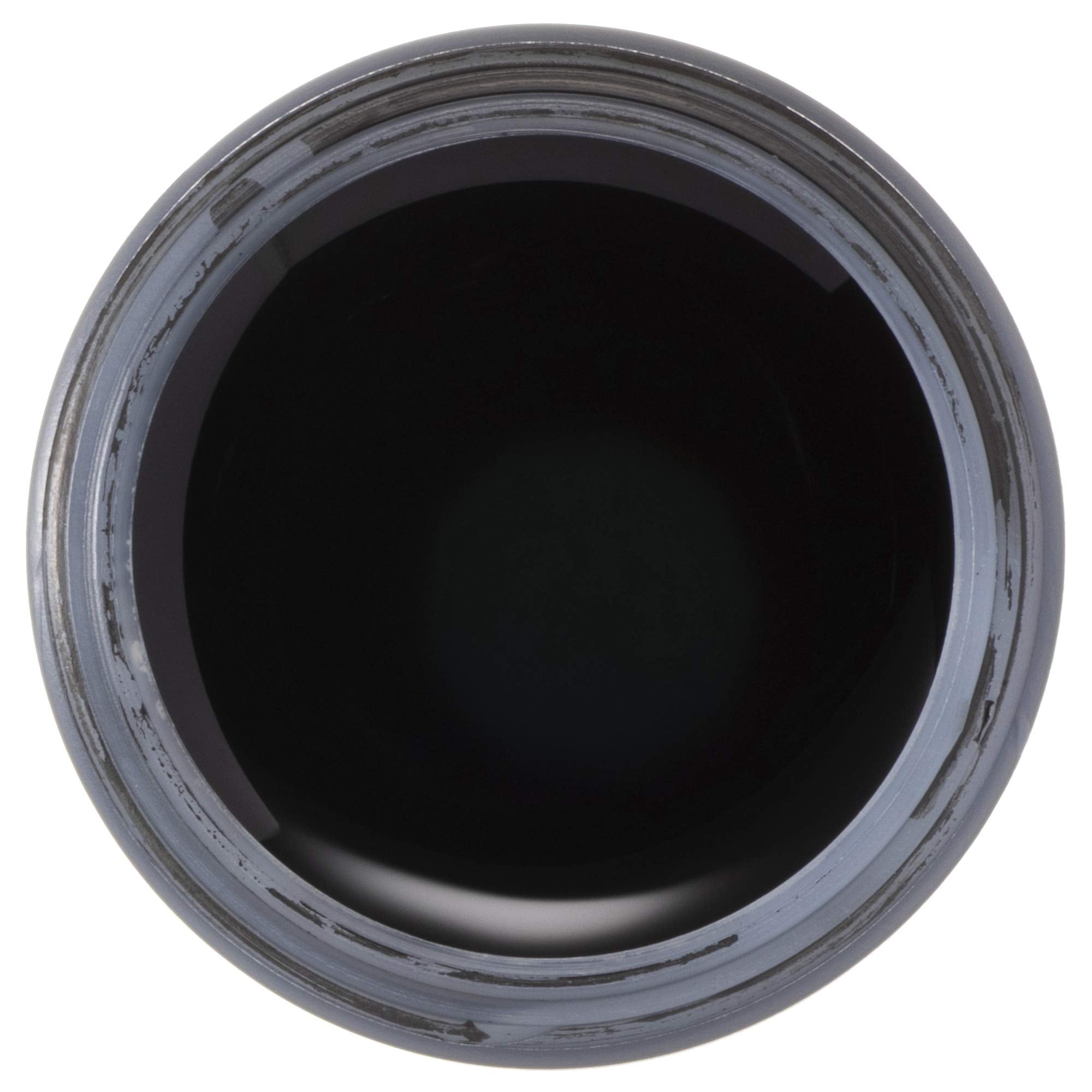 Deleter Ink Black-4 Permanent Drawing Ink - 30ml Quick-Dry Waterproof