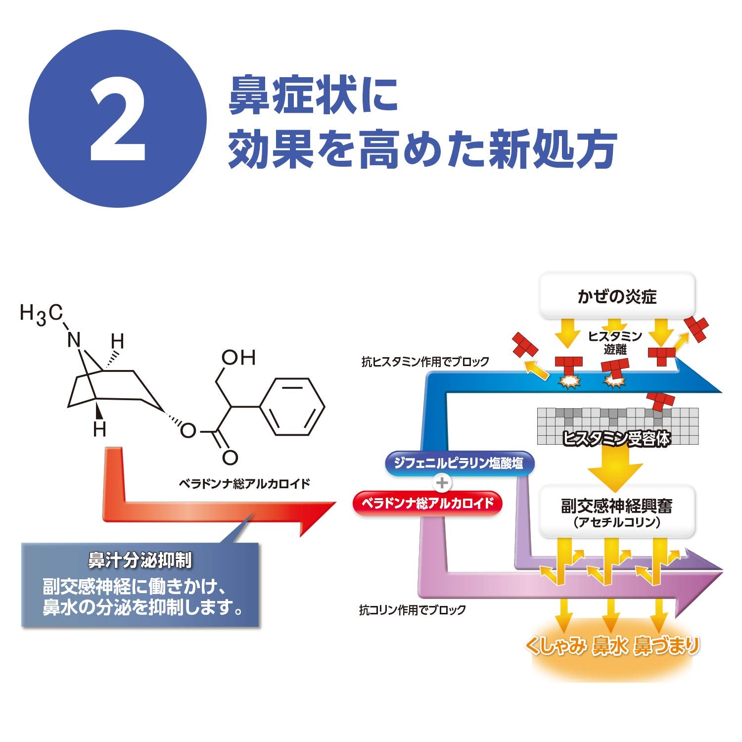 Stona Stonagel Sinus Ex 30 Capsules - Relief for Nasal Congestion
